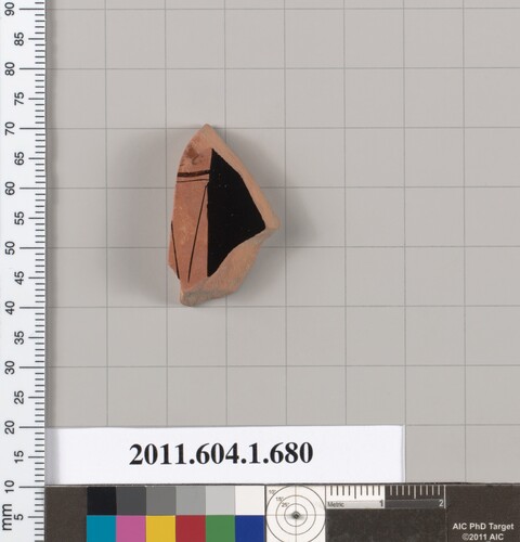Ancient Pottery Shard Specimen