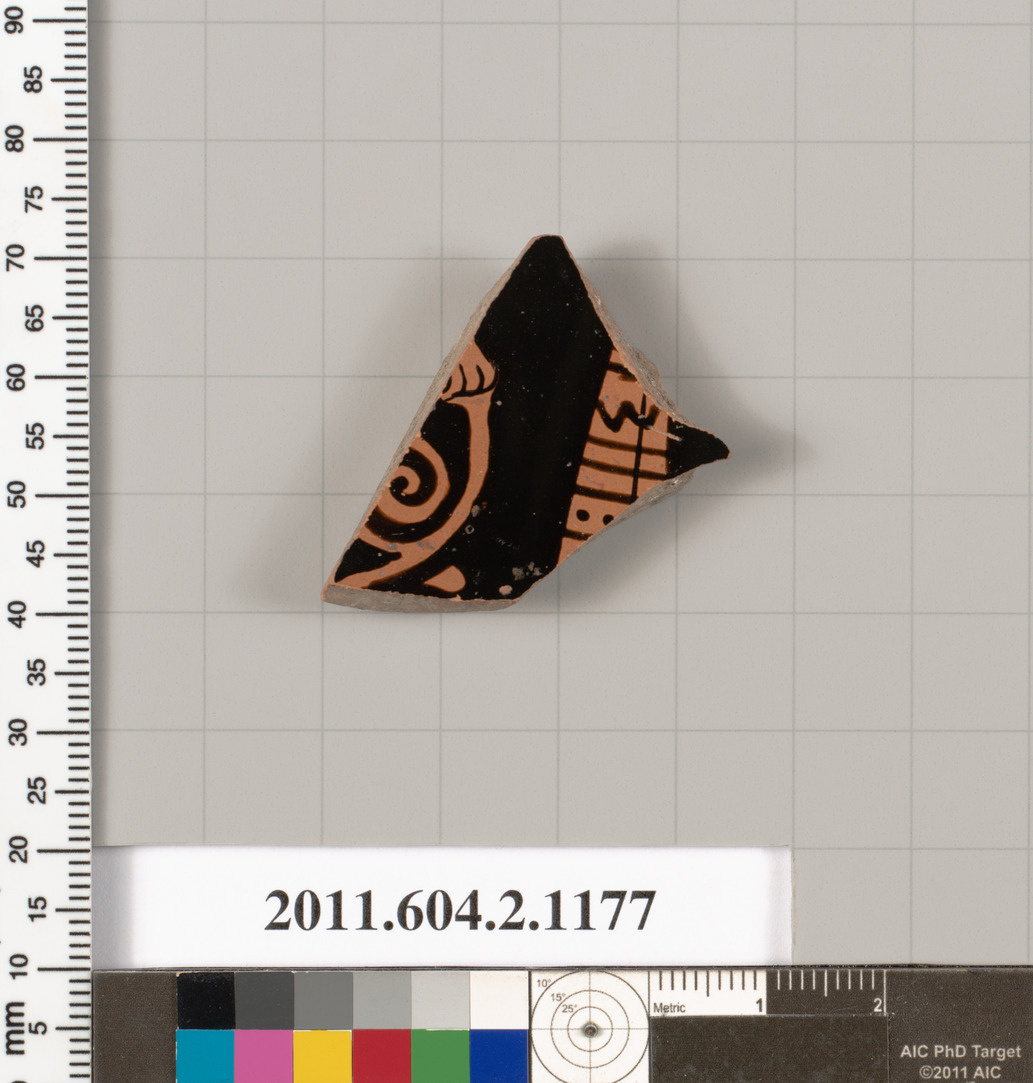 Ancient Painted Pottery Fragment