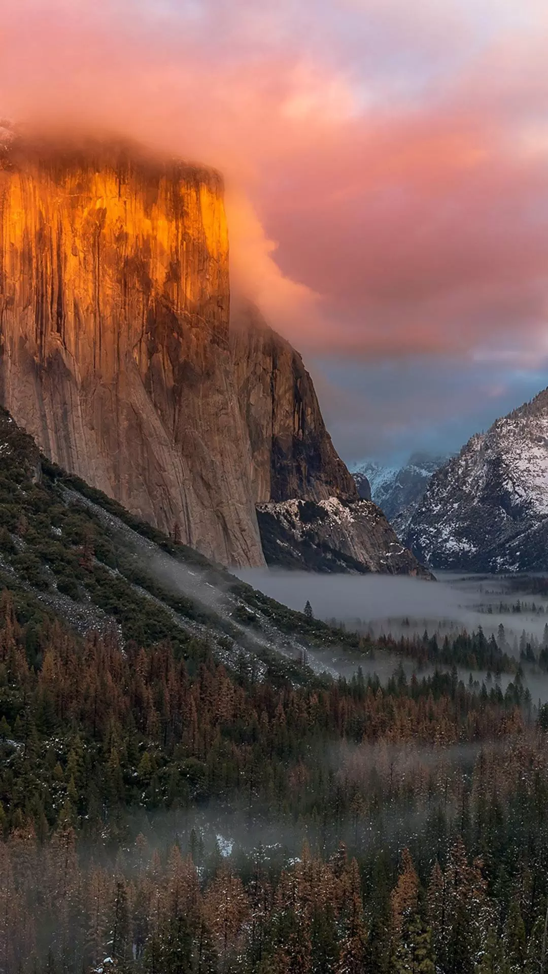Landscapes
