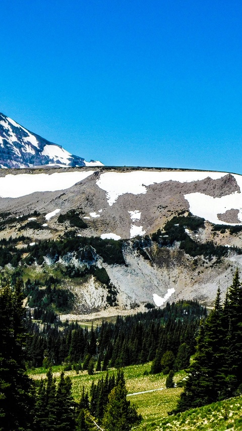 Snow-Capped Mountain Forest Landscape