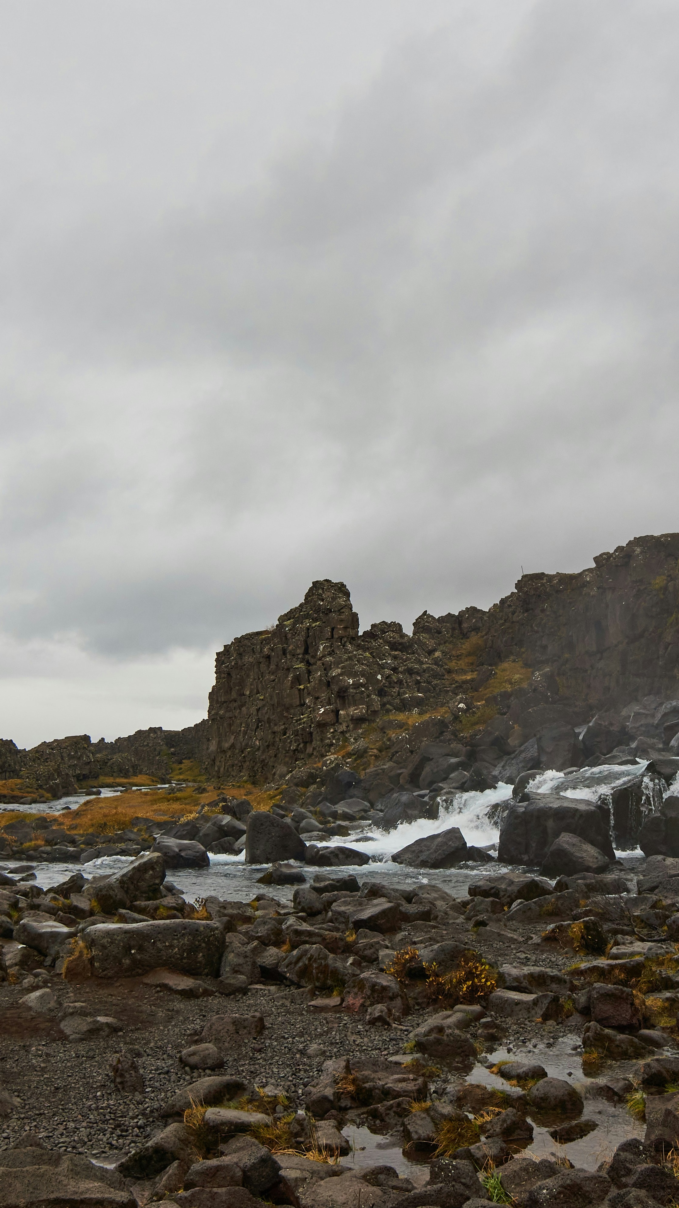 Image 1569922 — Nature