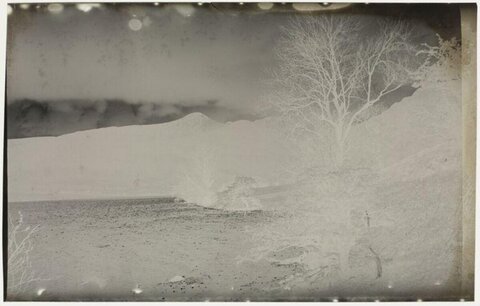 Damaged Vintage Coastal Landscape Negative
