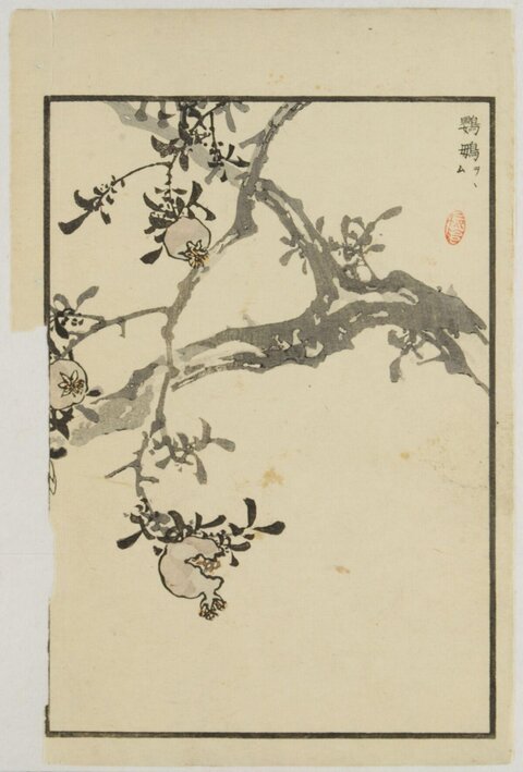 Woodblock Print of Pomegranate Branches