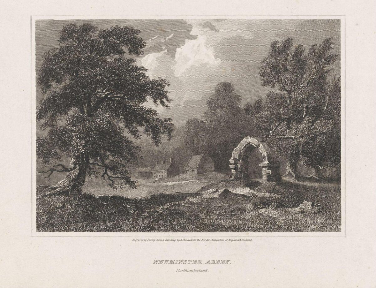 Newminster Abbey Ruins, Northumberland — Attractions
