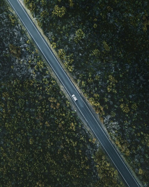 Aerial View of Road Through Forest