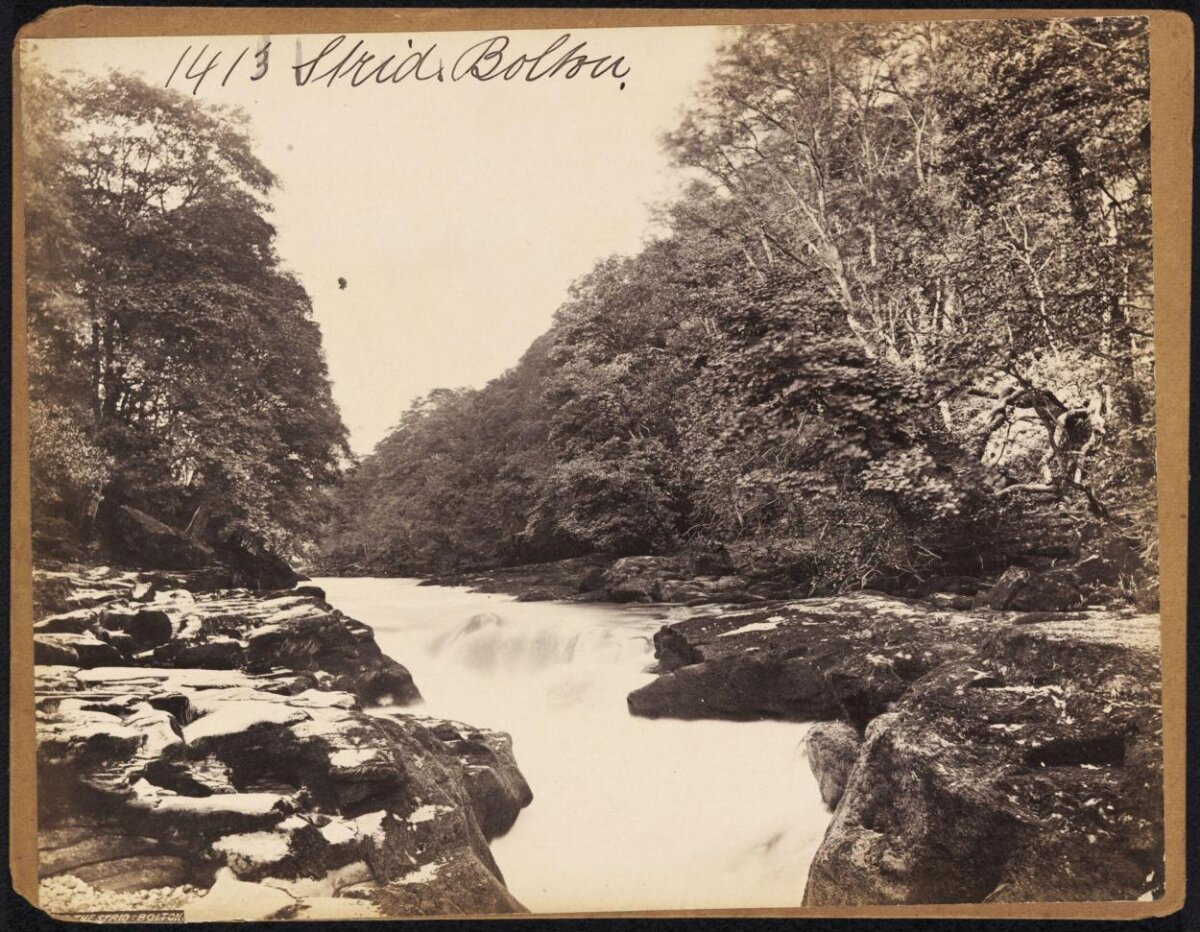 Strid Bolton River View