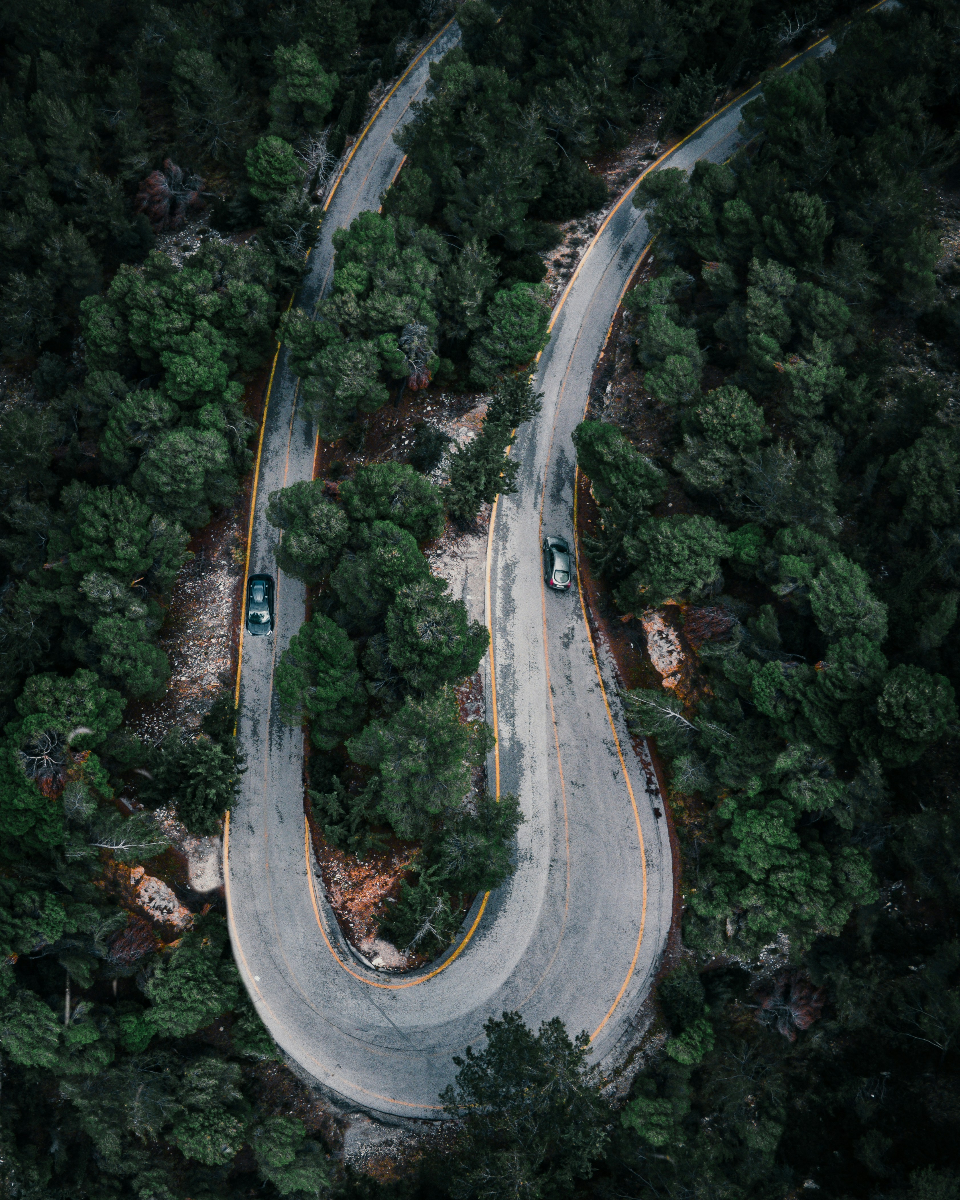 Aerial View of Winding Forest Road