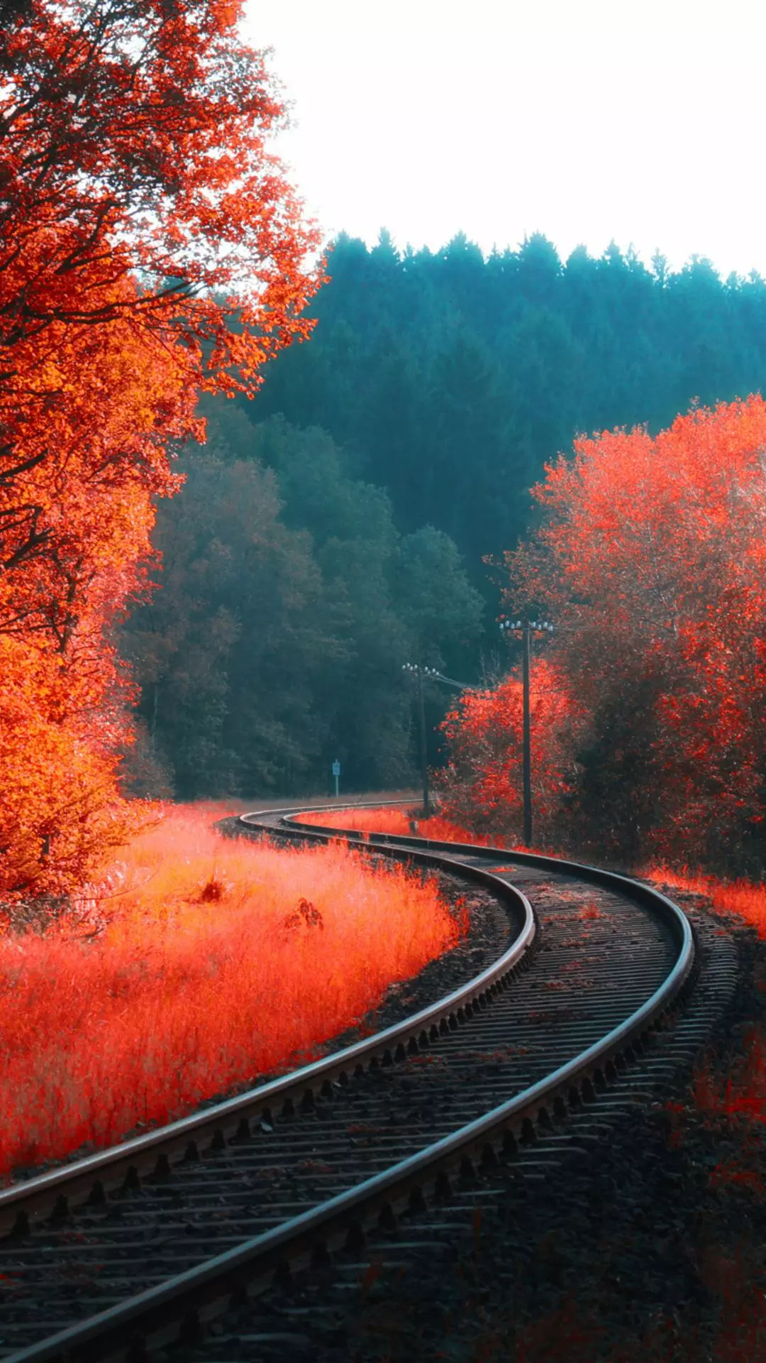 Wallpapers