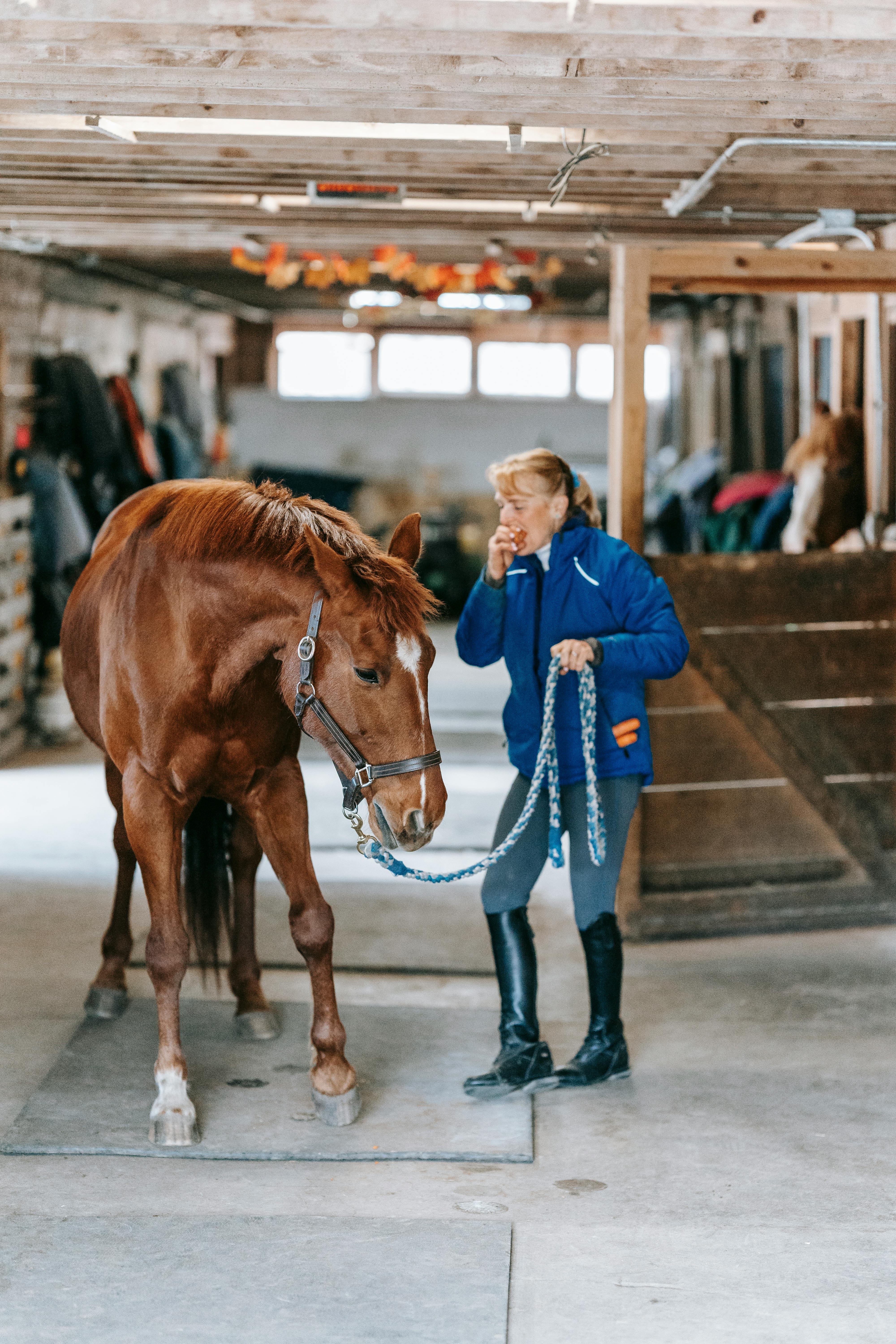 Woman And Horse In A Stable