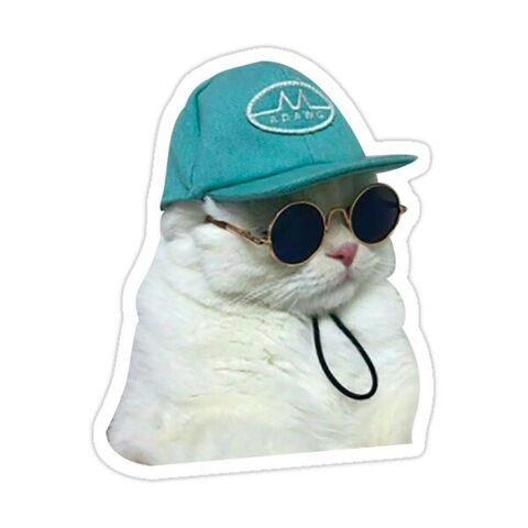 Cool White Cat with Cap and Sunglasses