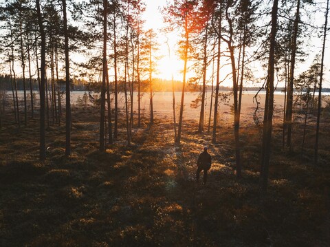 Hiker Walking in Forest at Sunset