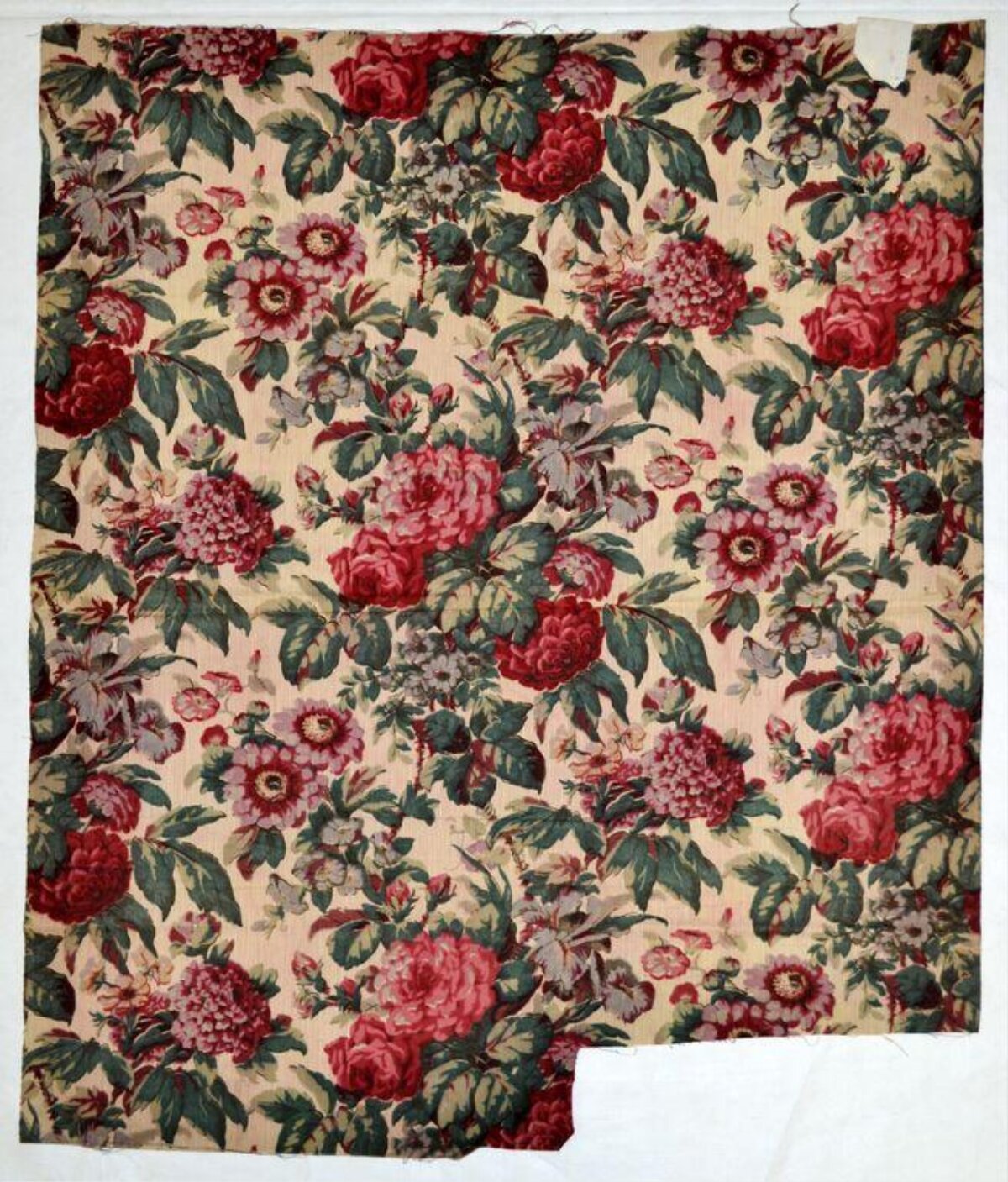 Vintage Floral Pattern Fabric Sample