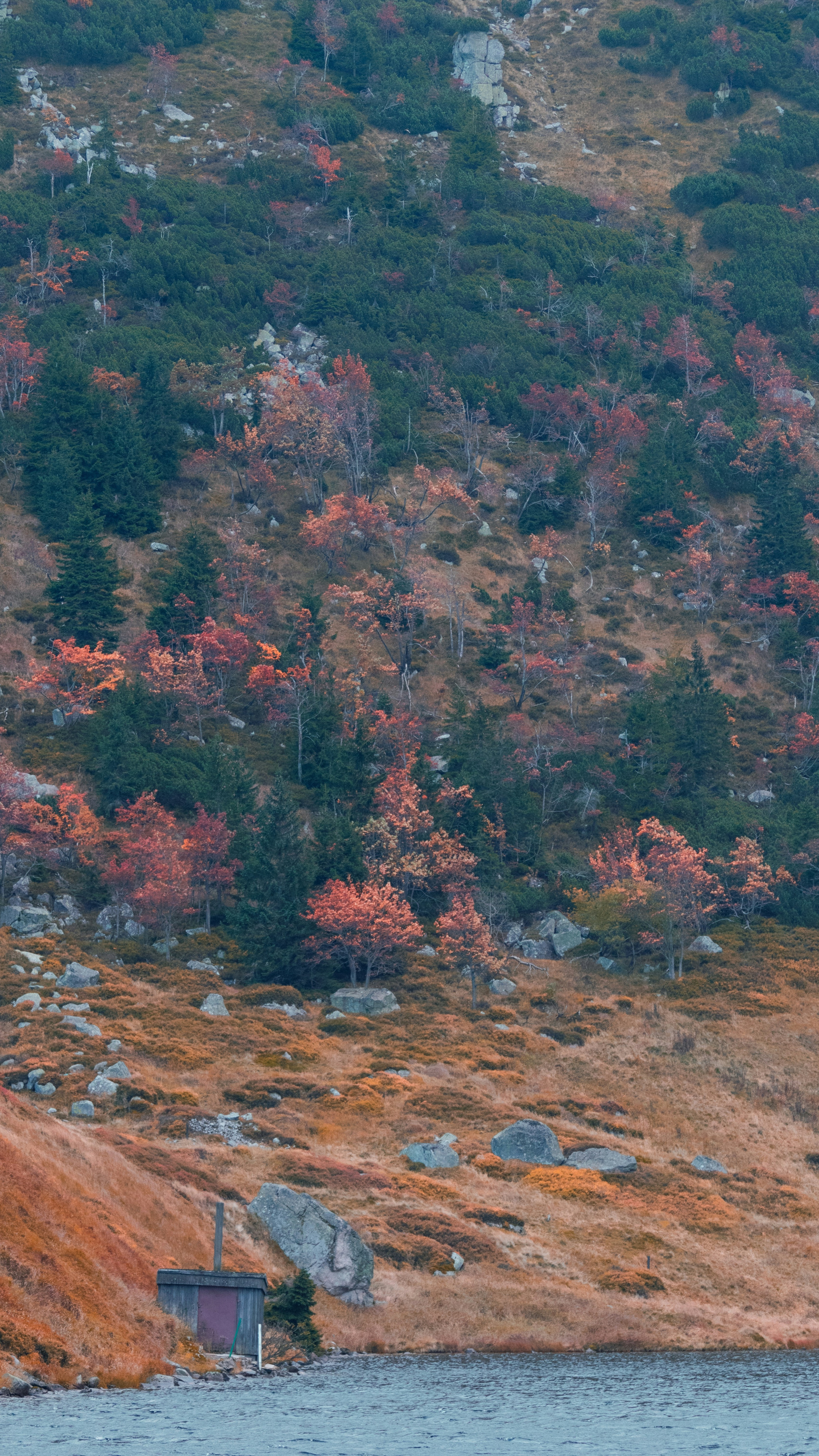 Image 1618871 — Art