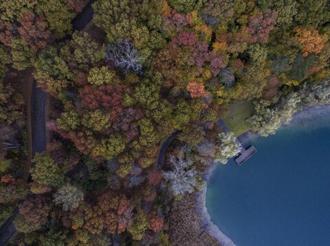 Aerial View of Autumn Lakeside Forest
