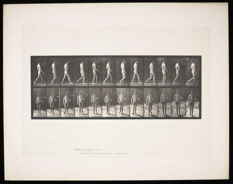 Sequential Motion Study of Walking Man