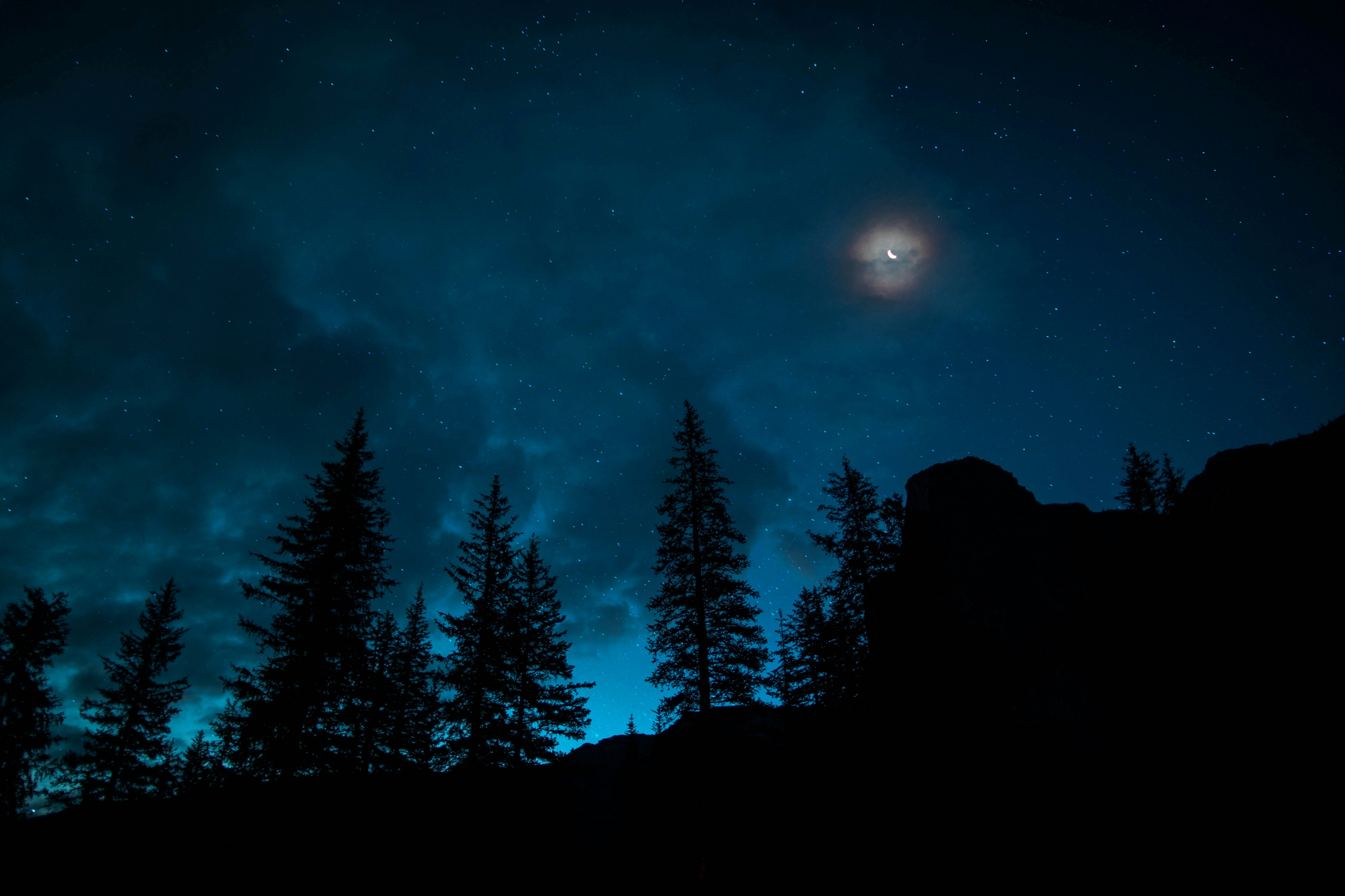 Night Sky with Crescent Moon Over Forest