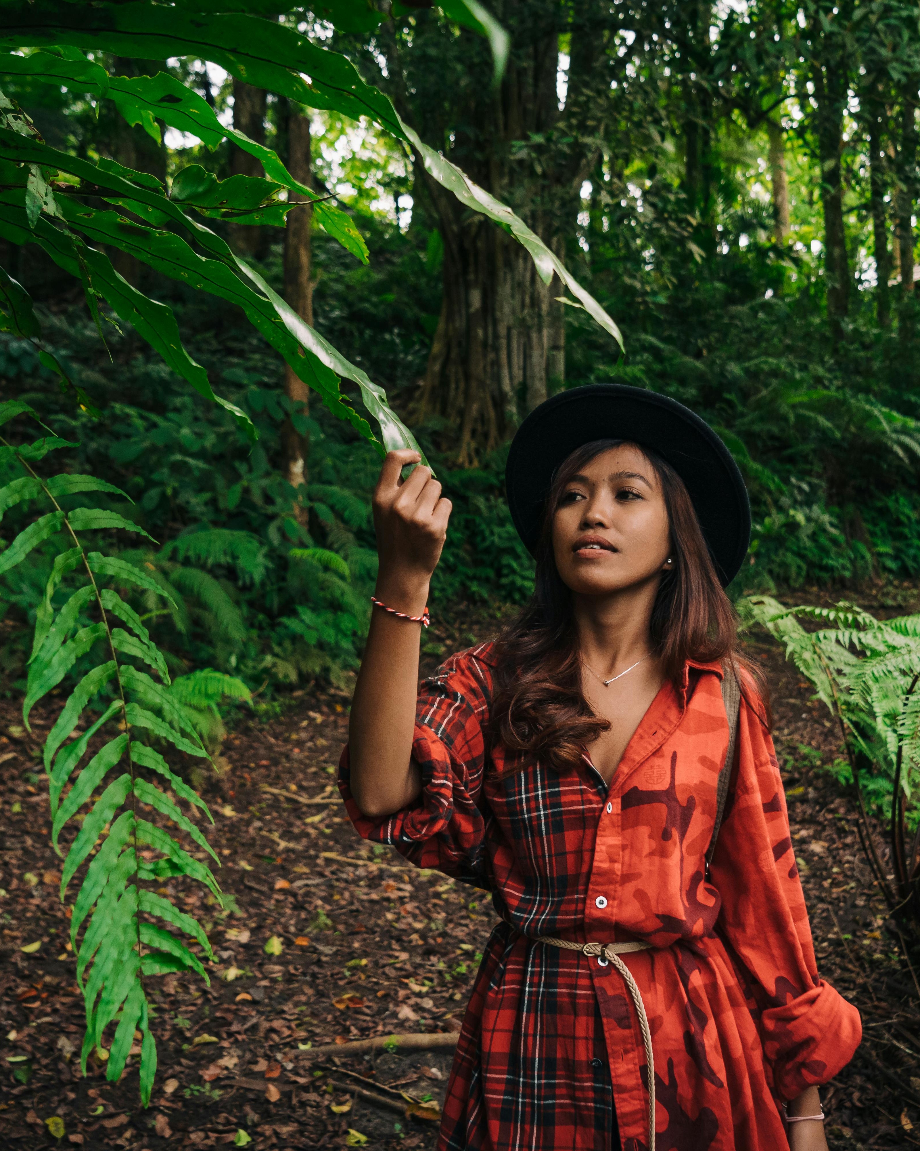 Forest & Flora