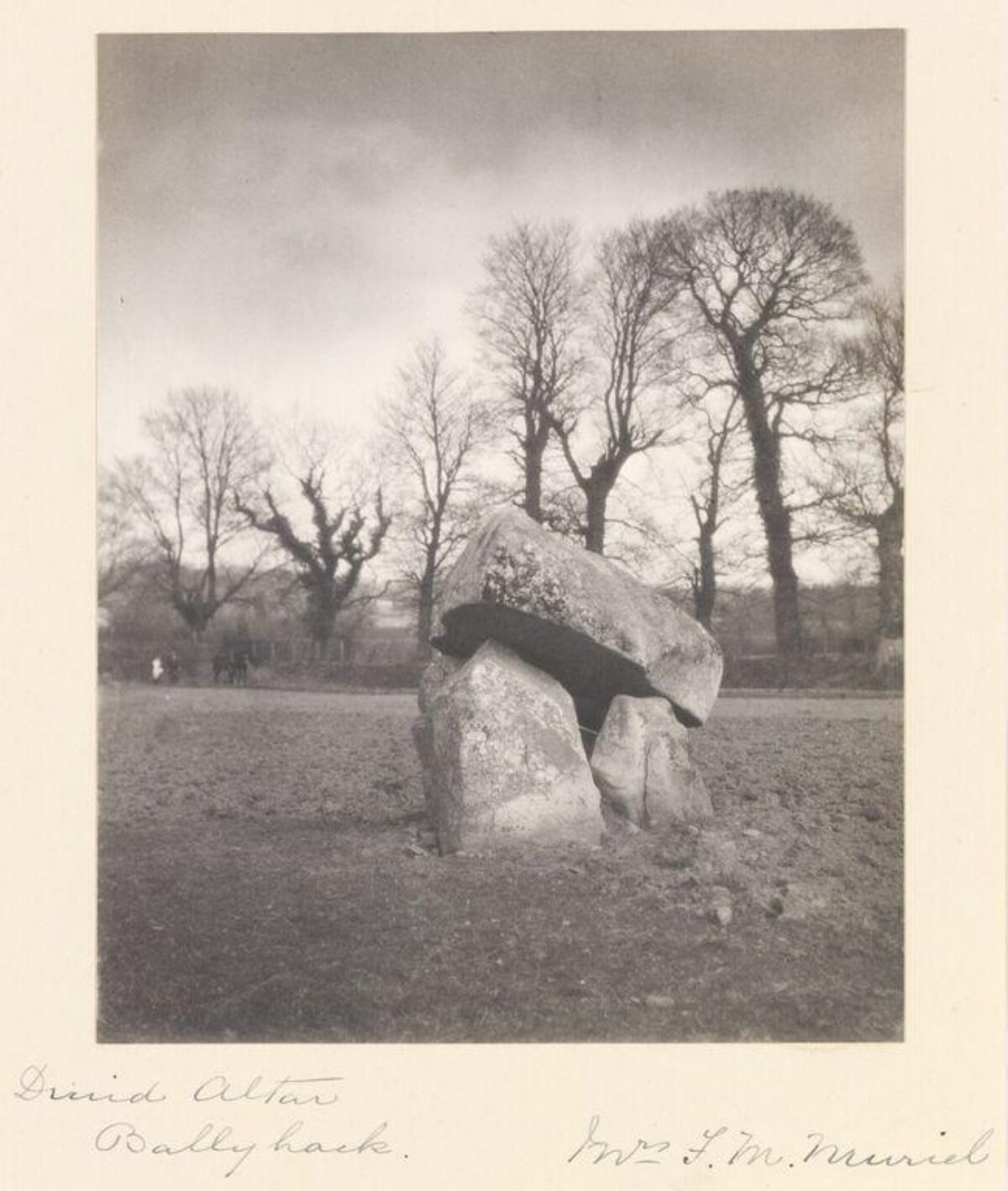 Druid Altar at Ballyhack