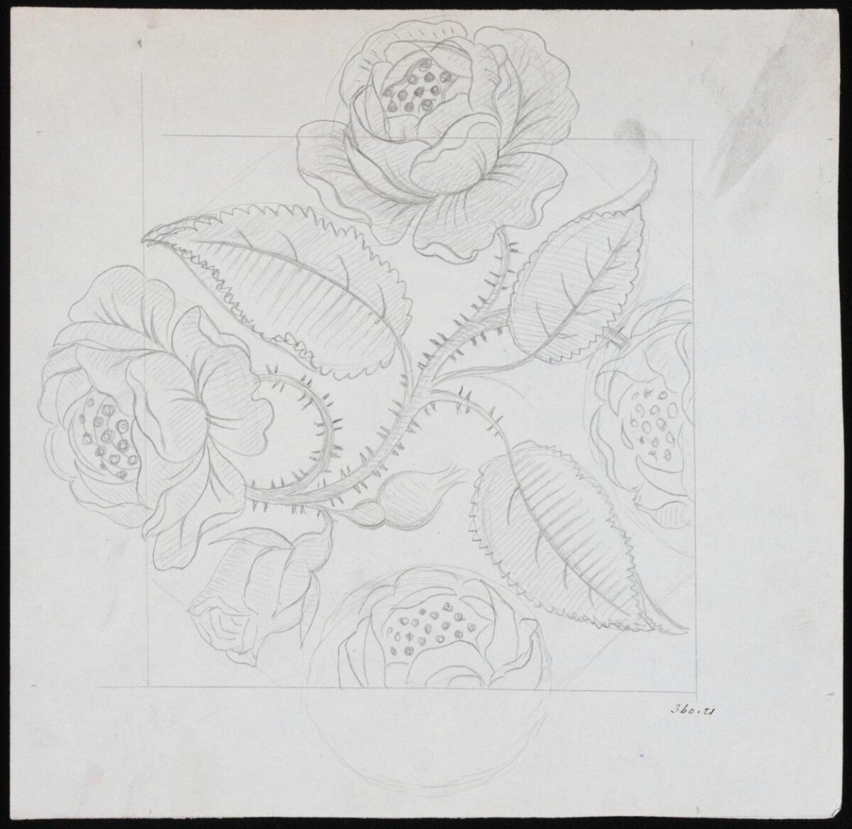Pencil Sketch of Roses