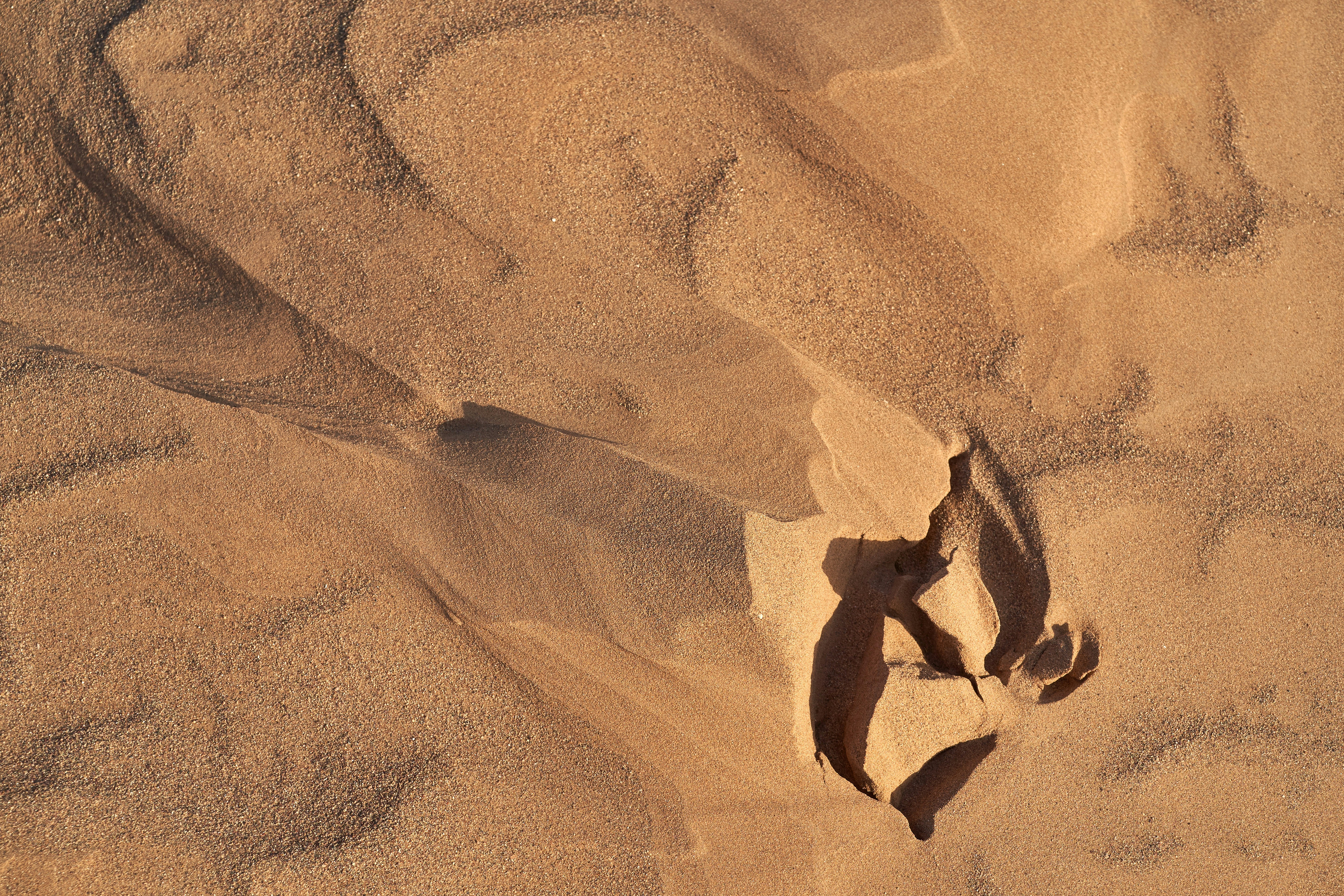 Human Footprint in Desert Sand