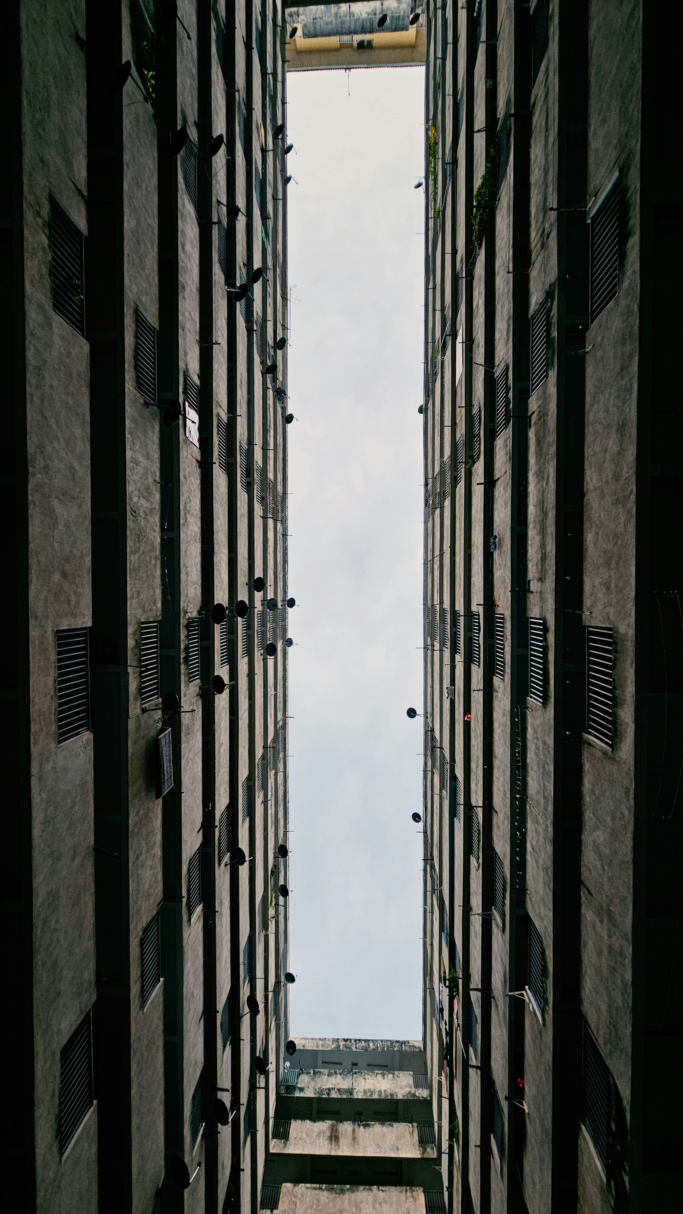 Wallpapers