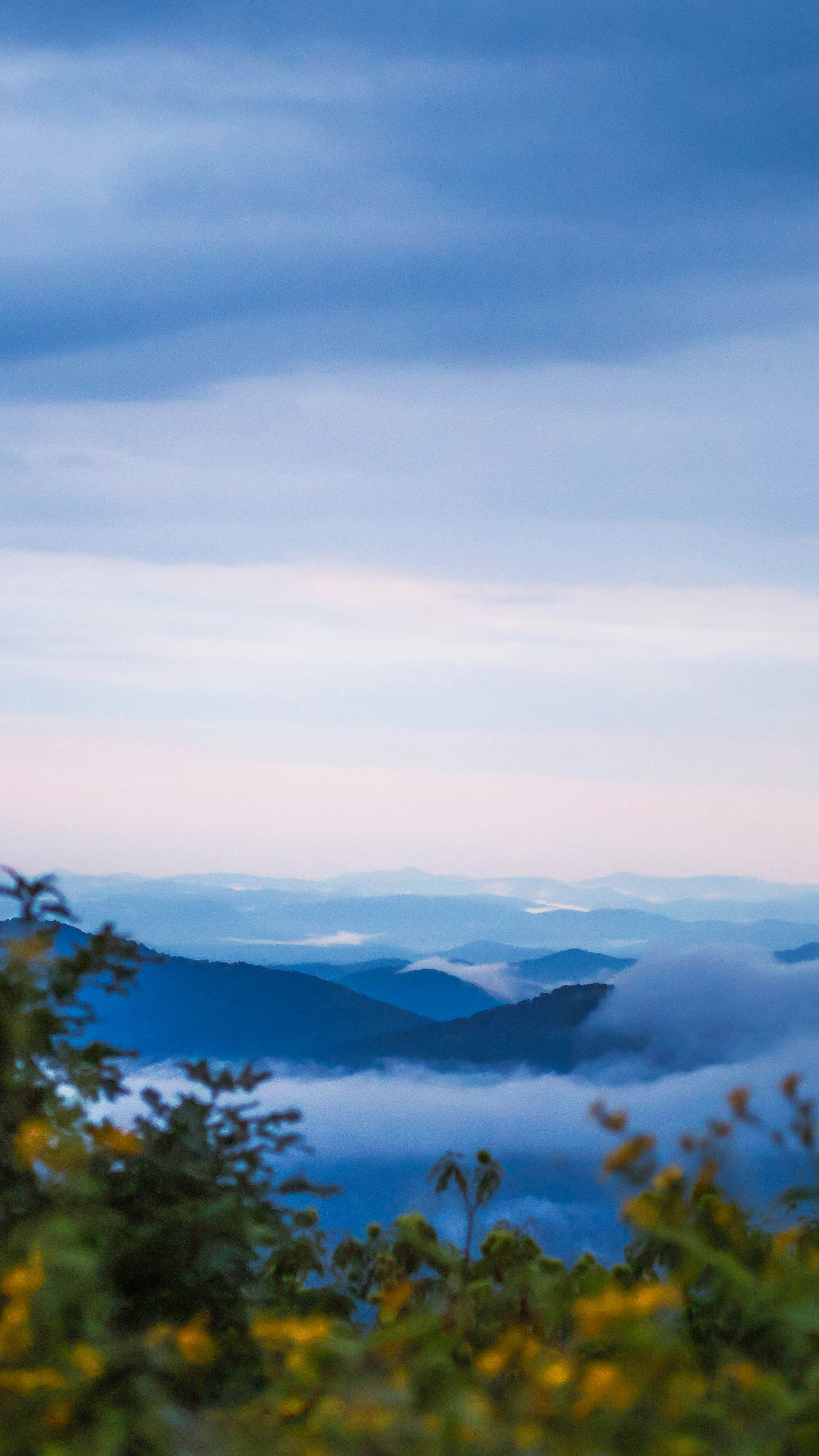 Landscapes