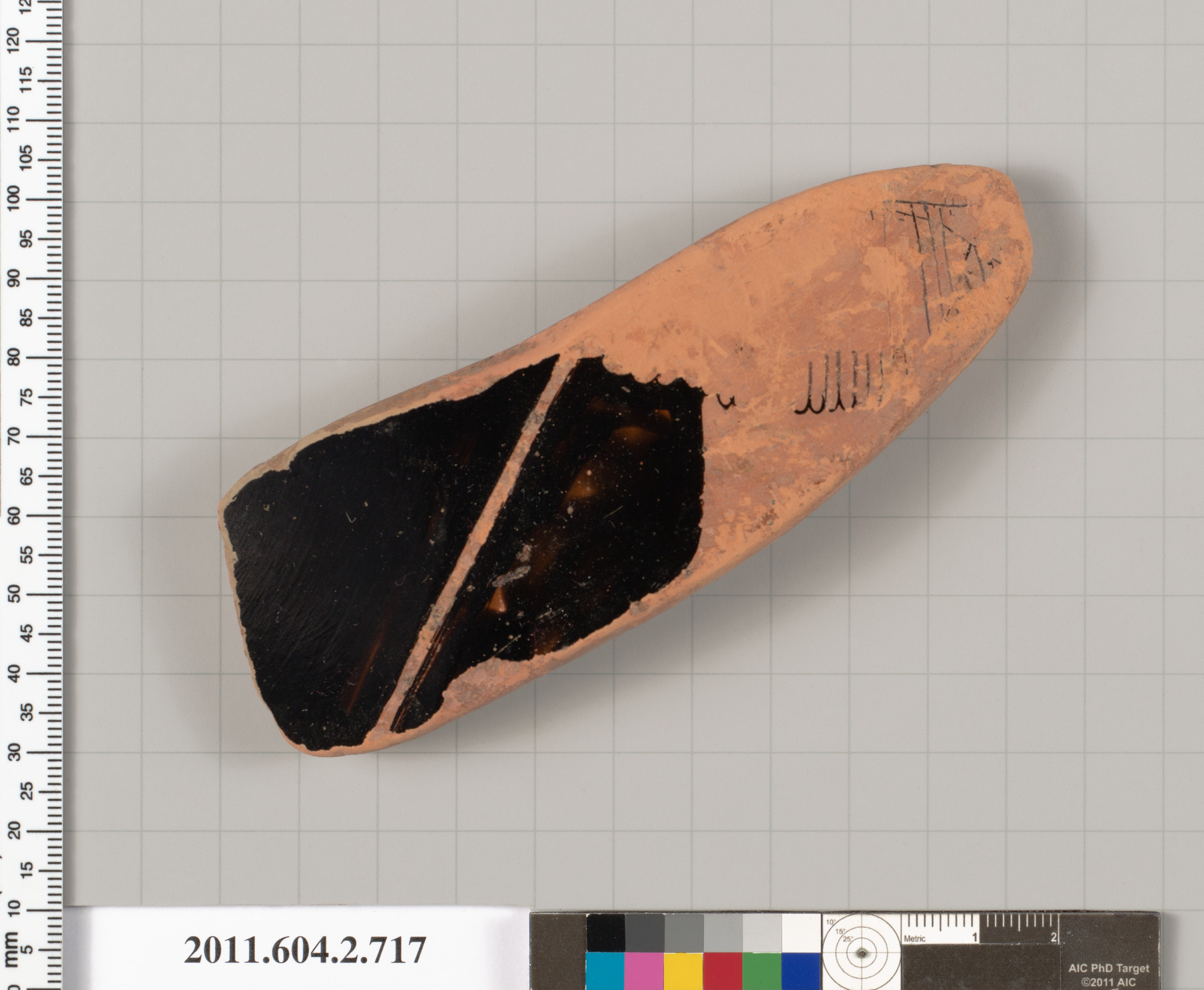 Ancient Terracotta Pottery Fragment