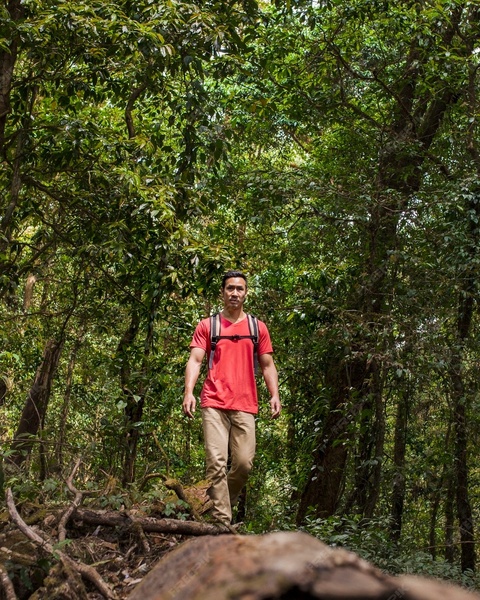 Hiker Trekking Through Dense Forest