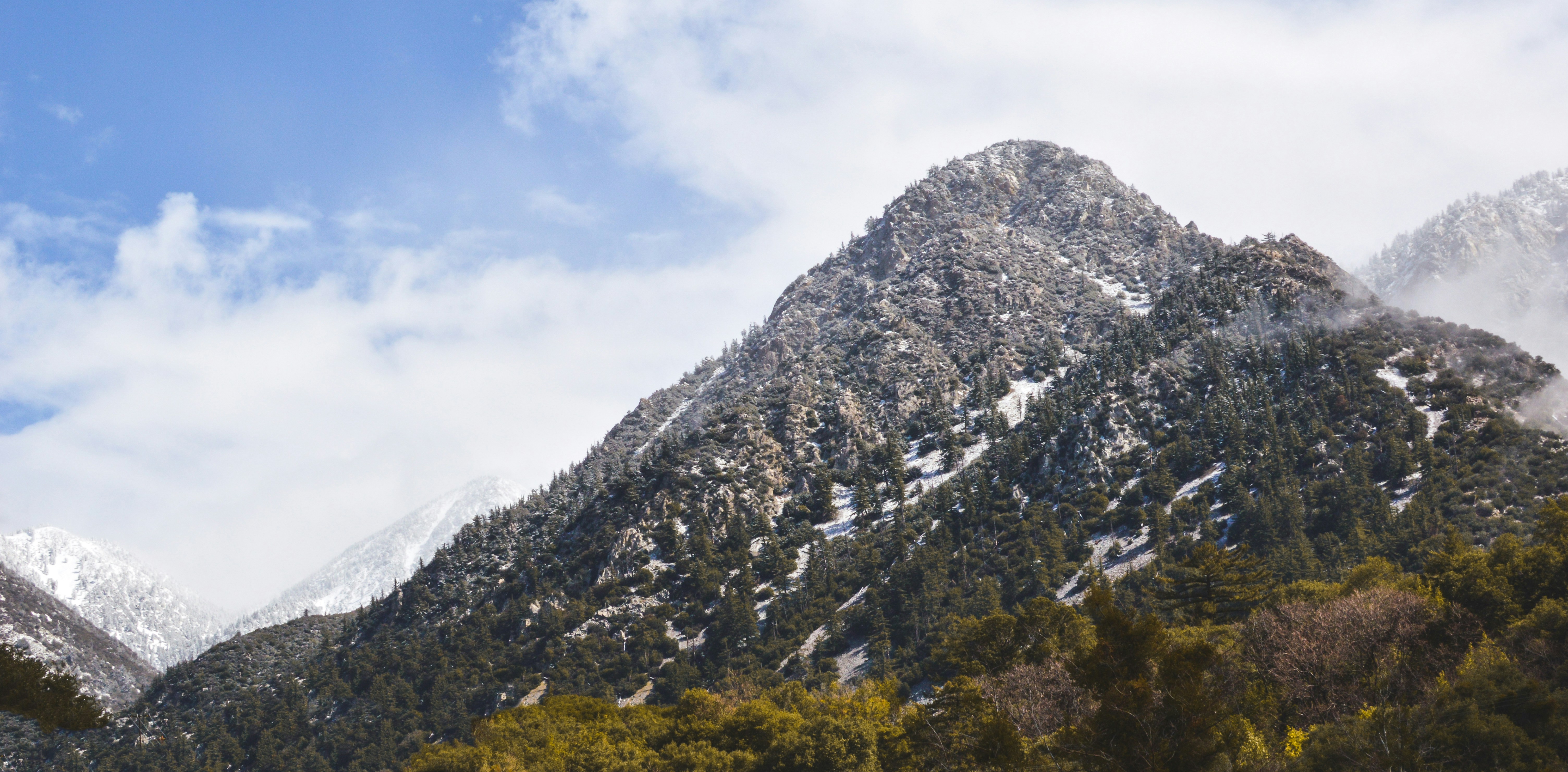 Snow-dusted Forested Mountain Peak