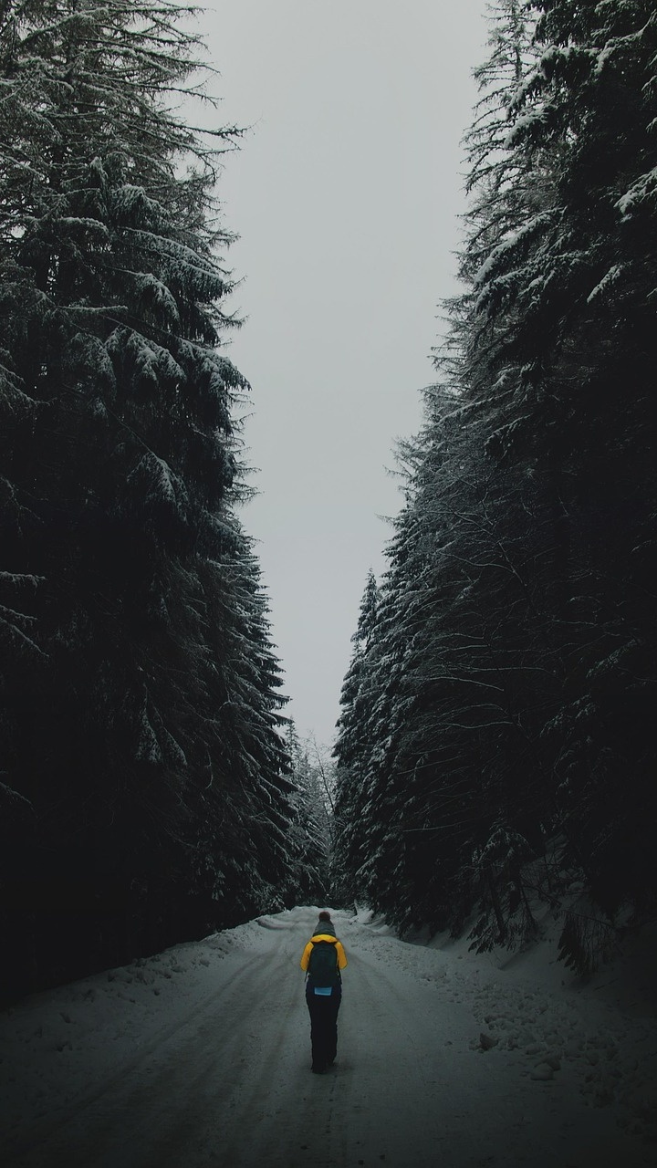 Wallpapers