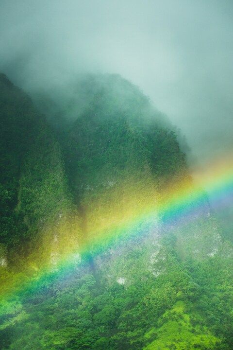 Misty Mountain with Rainbow