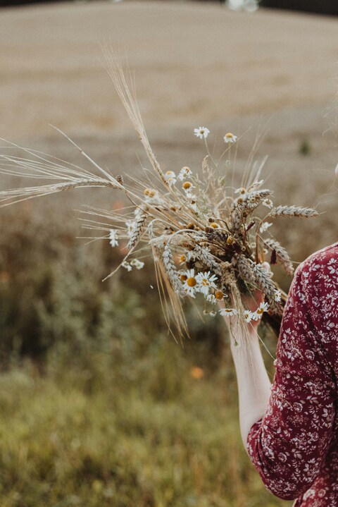 Daisy and Wheat Wild Bouquet