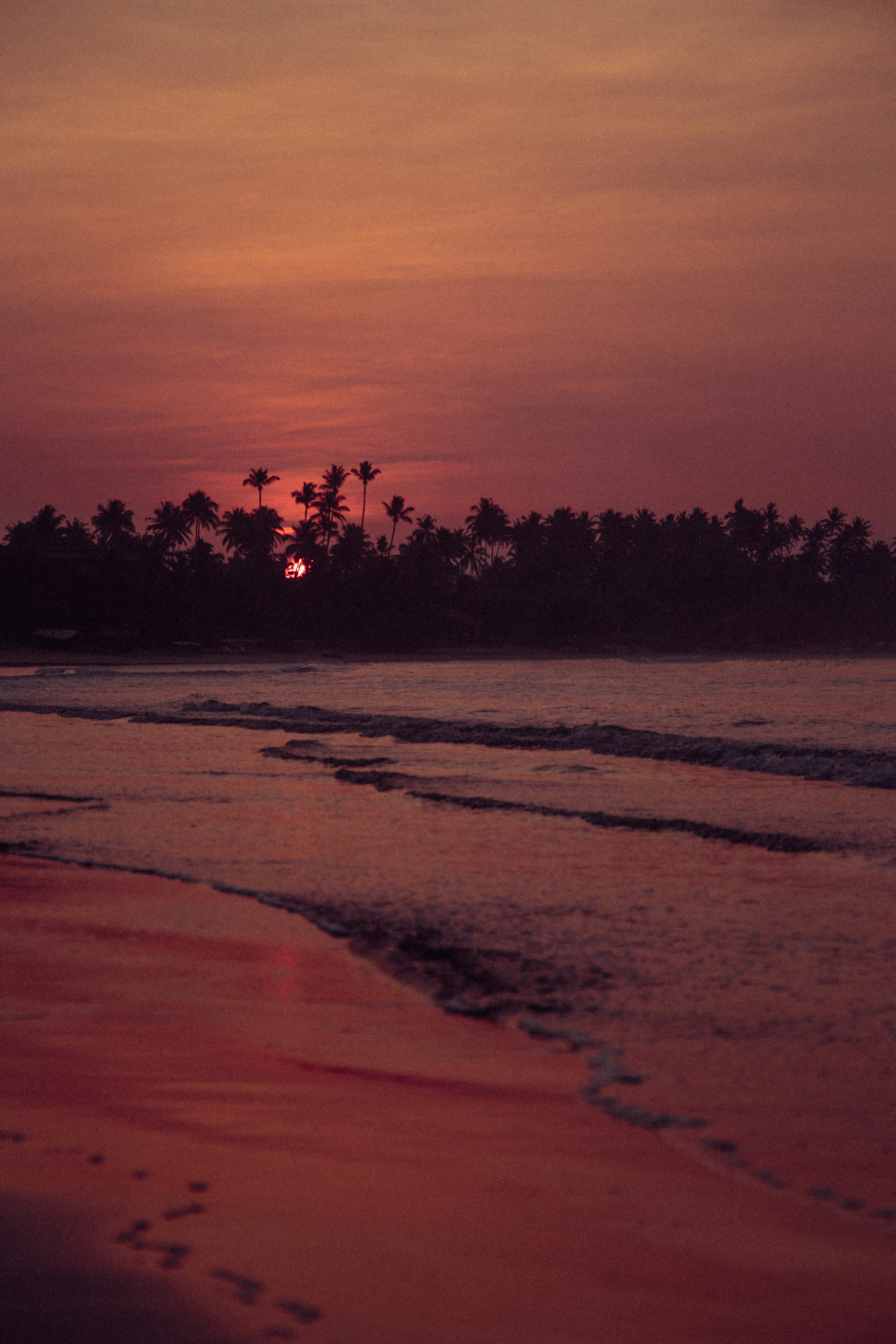 Tropical Beach Sunset