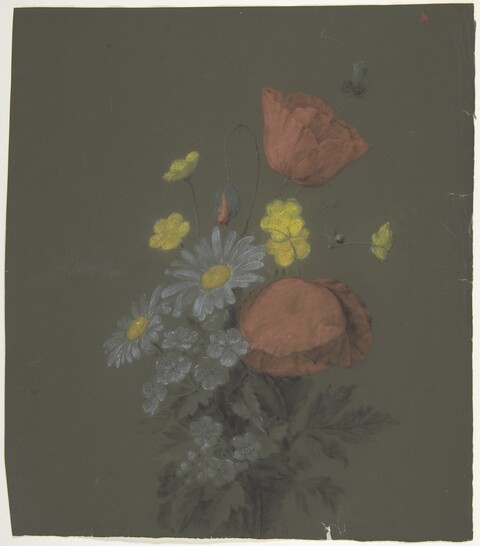 Still Life of Wild Mixed Flowers