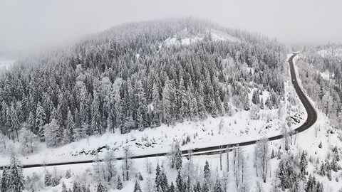 Snowy Winding Mountain Forest Road