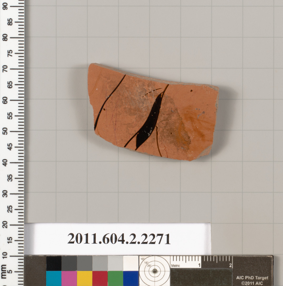 Ancient Pottery Shard Specimen