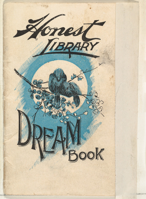 Honest Library Dream Book Cover