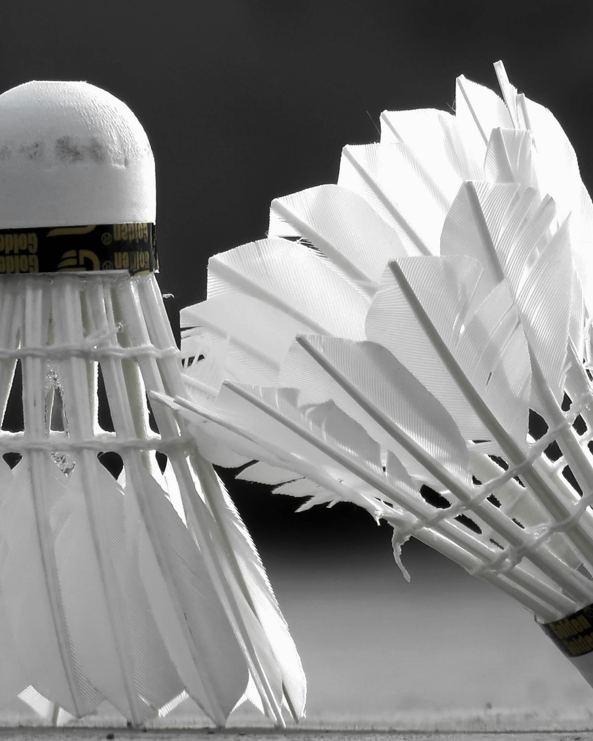 Two Badminton Shuttlecocks