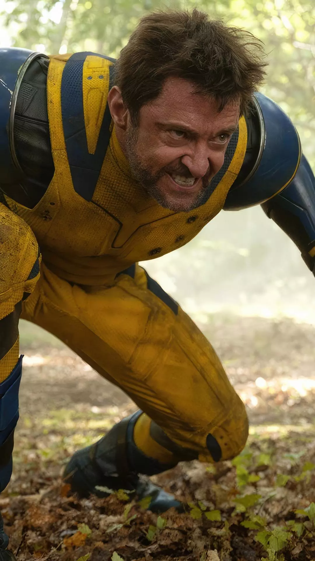 Wolverine Crouching in Forest