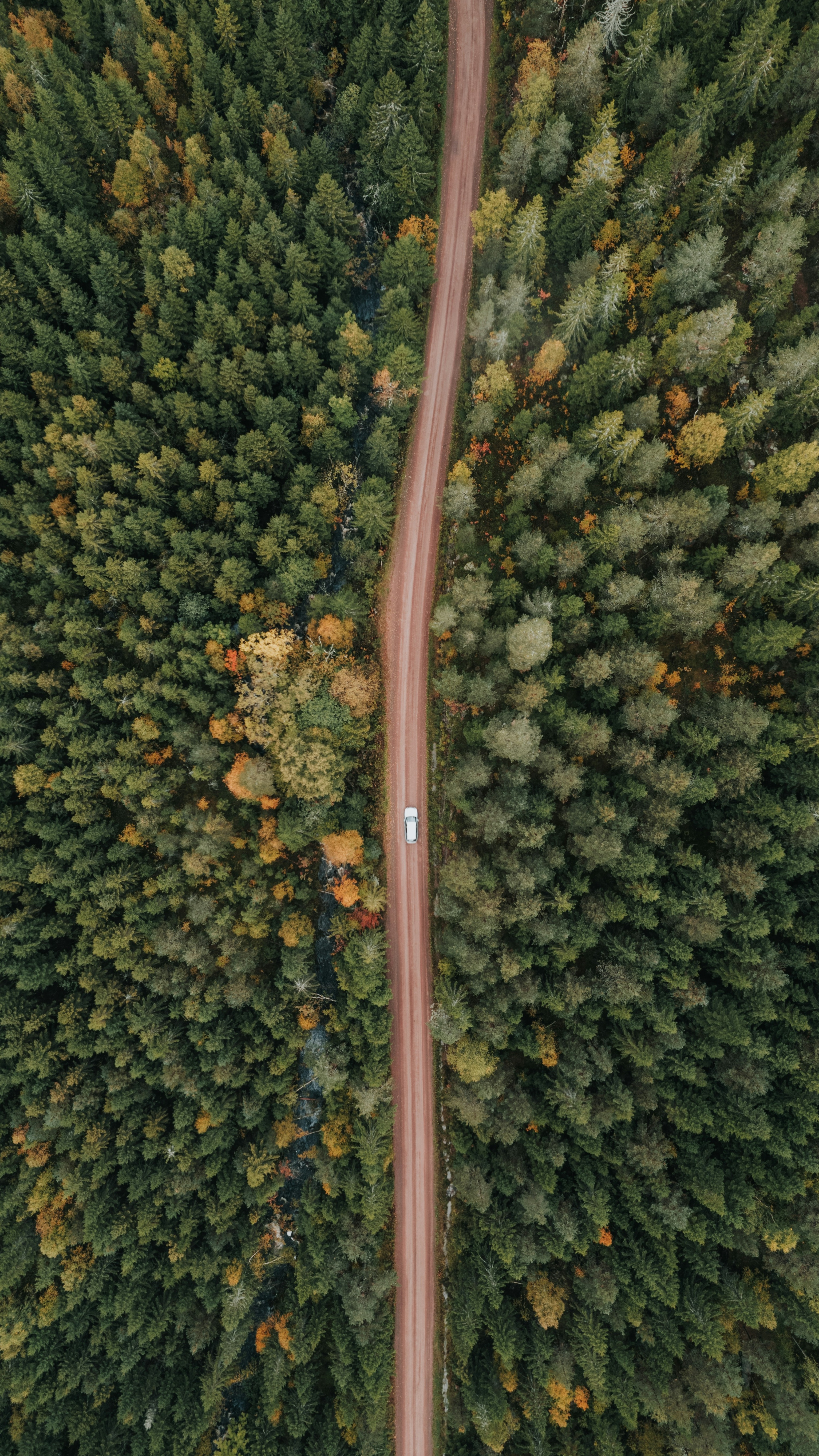 Wallpapers