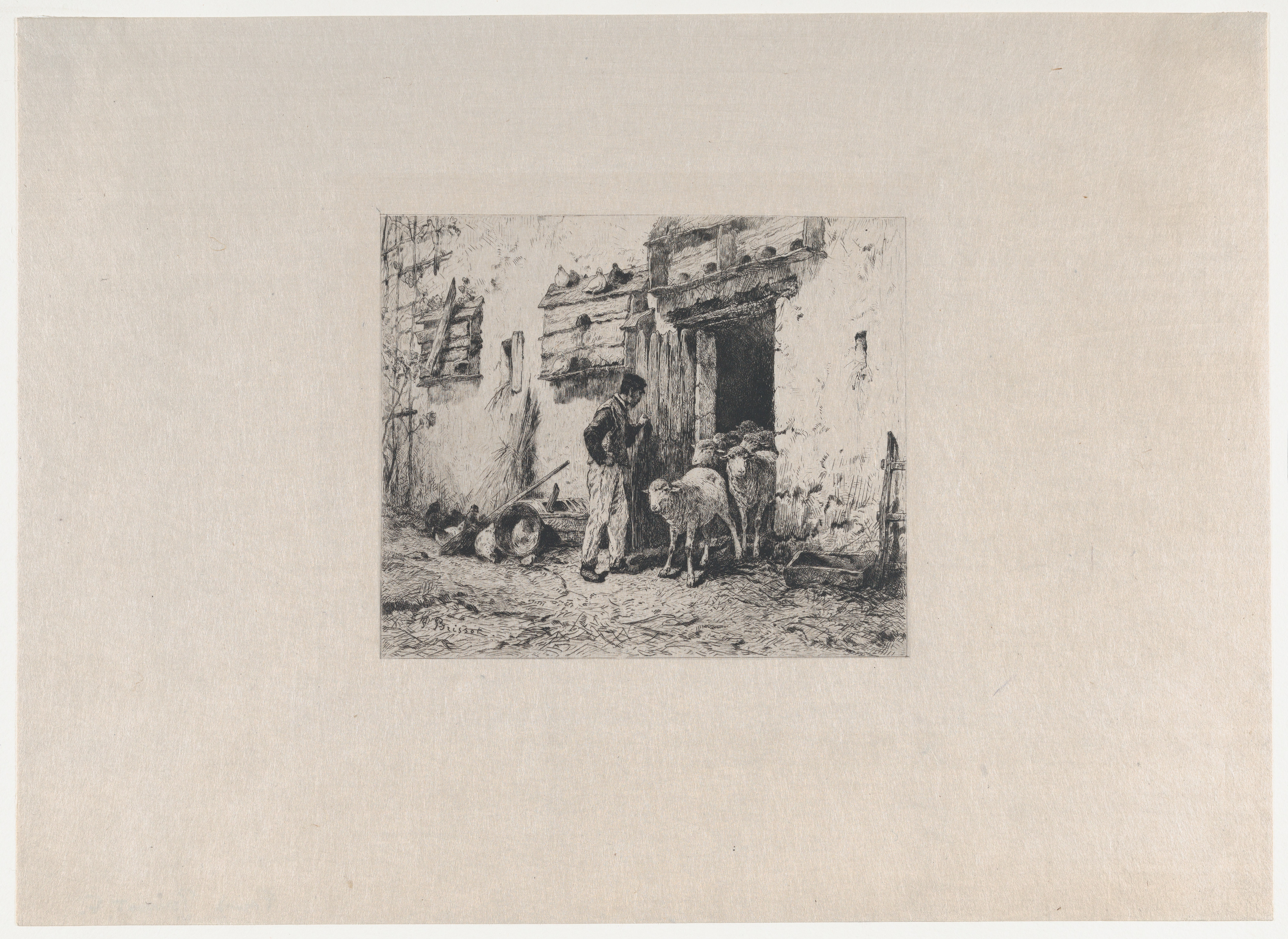Farmer and Sheep at Barnyard