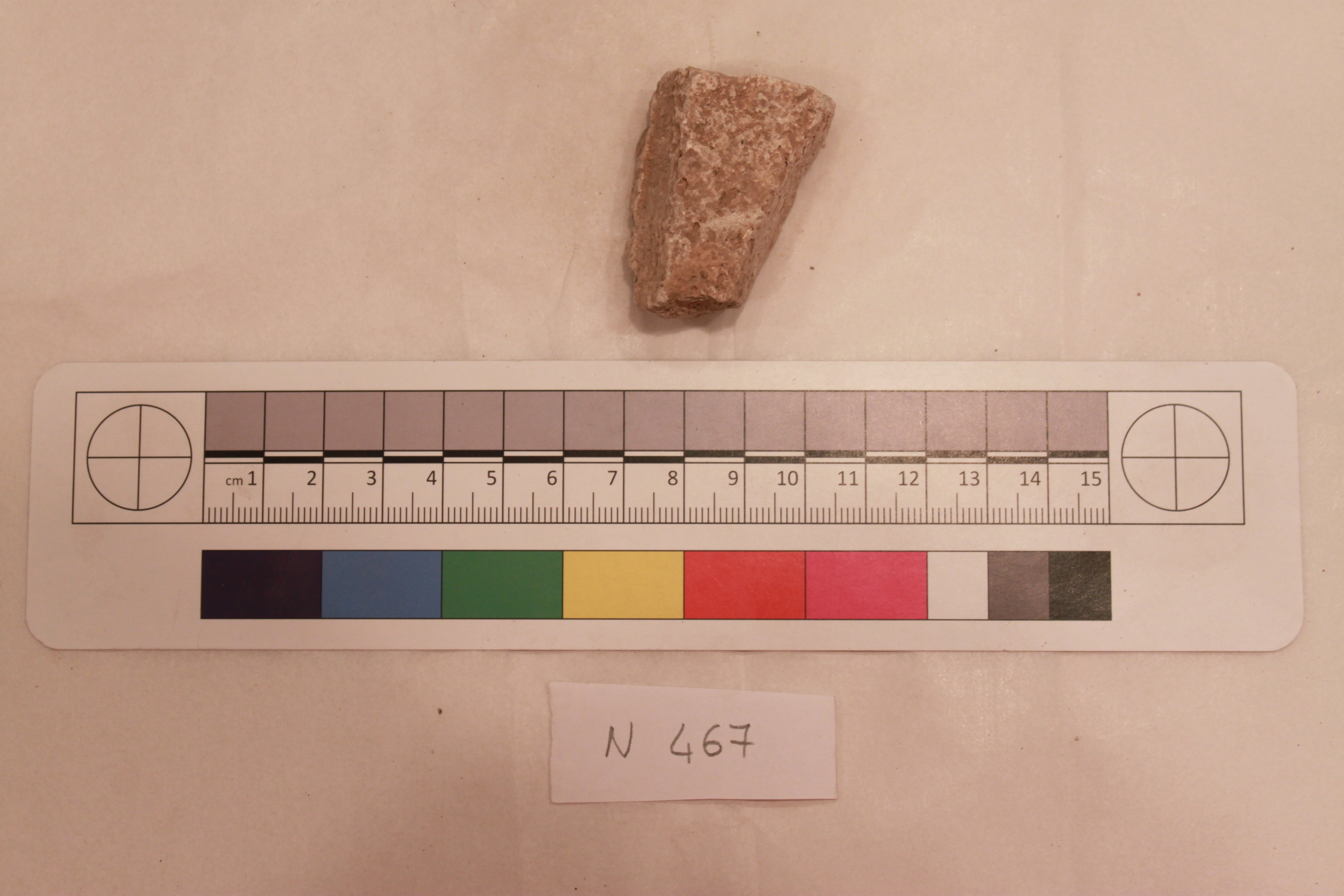 Archaeological Bone Fragment Specimen