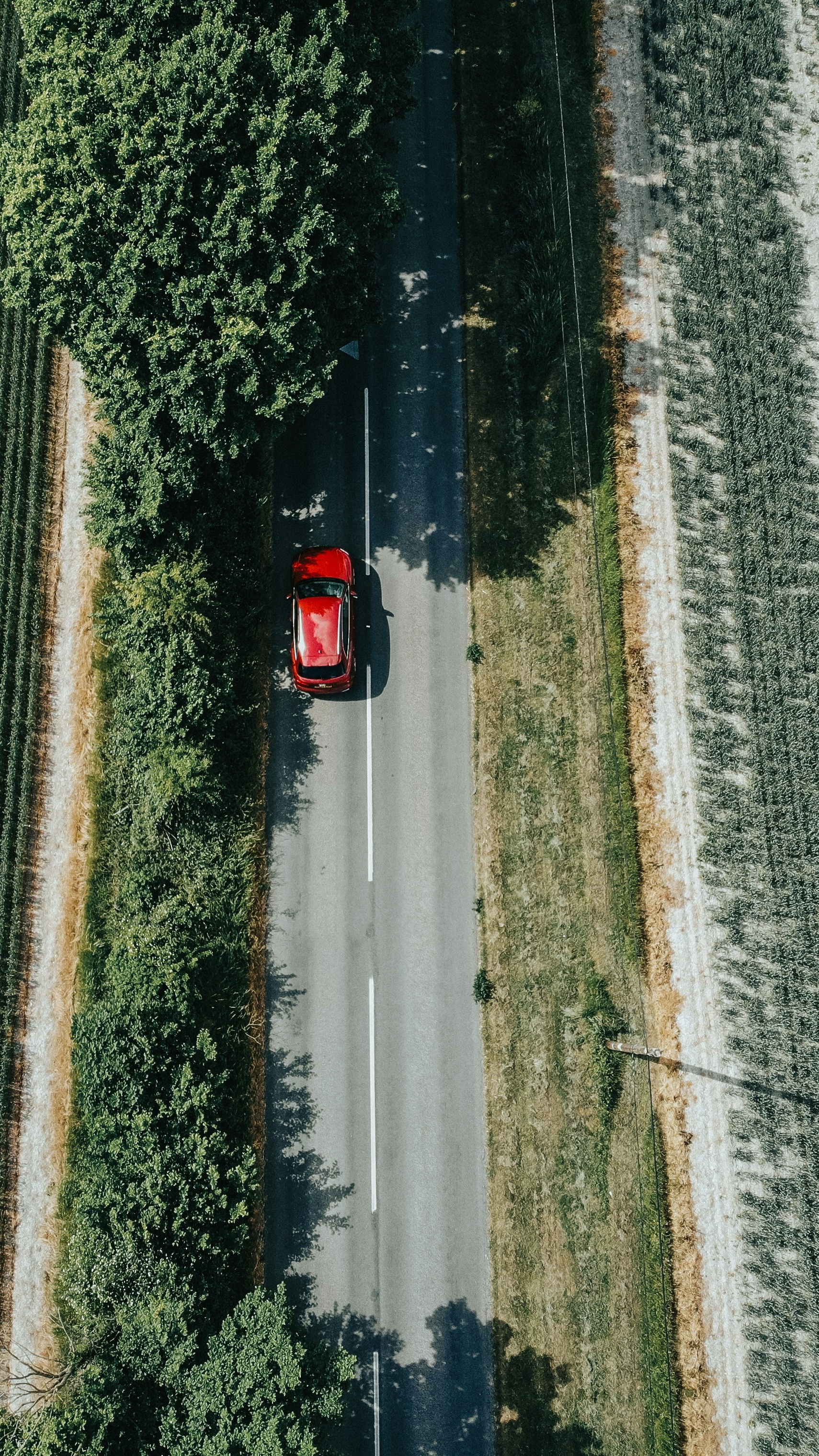 Wallpapers