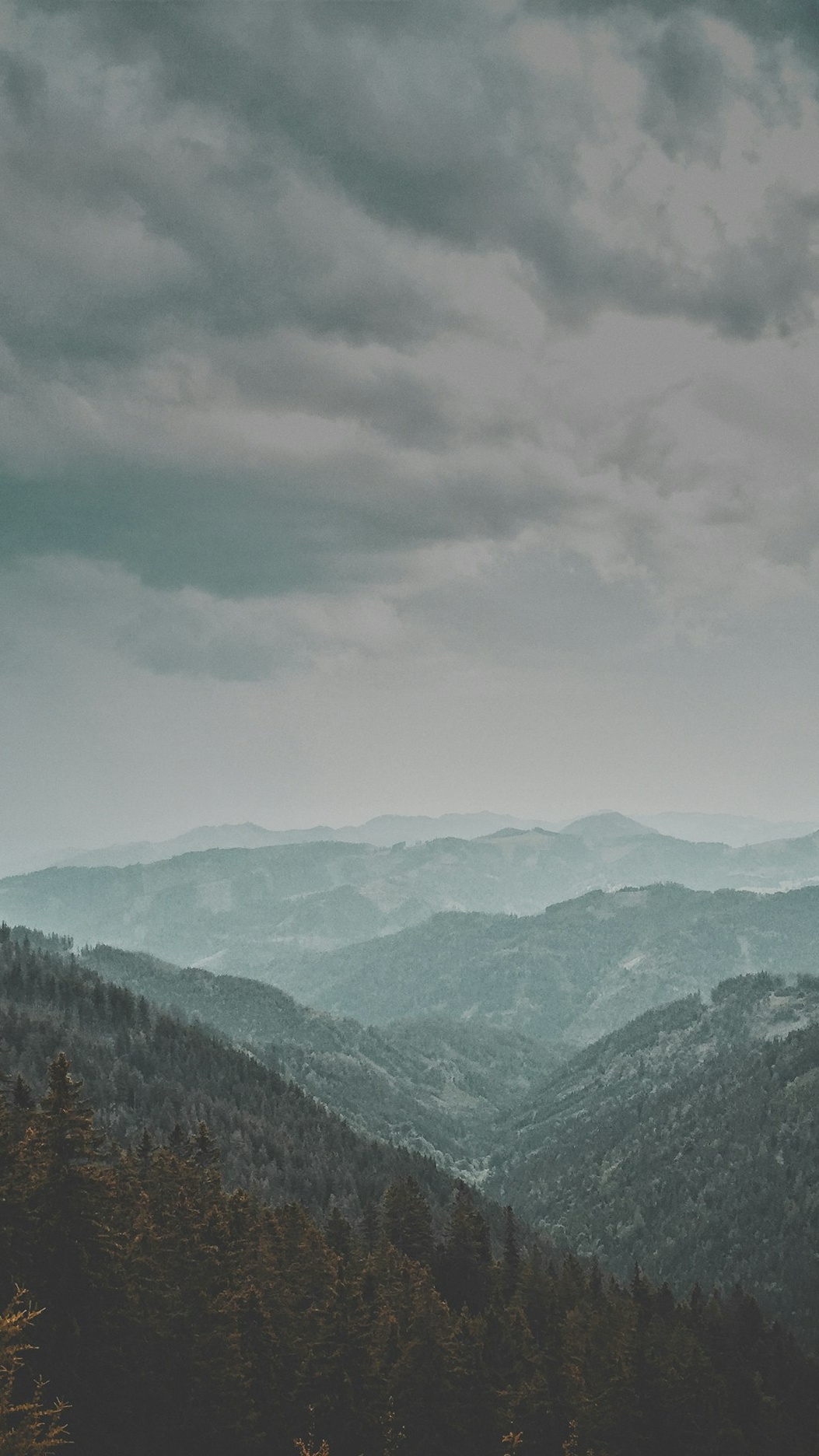 Wallpapers