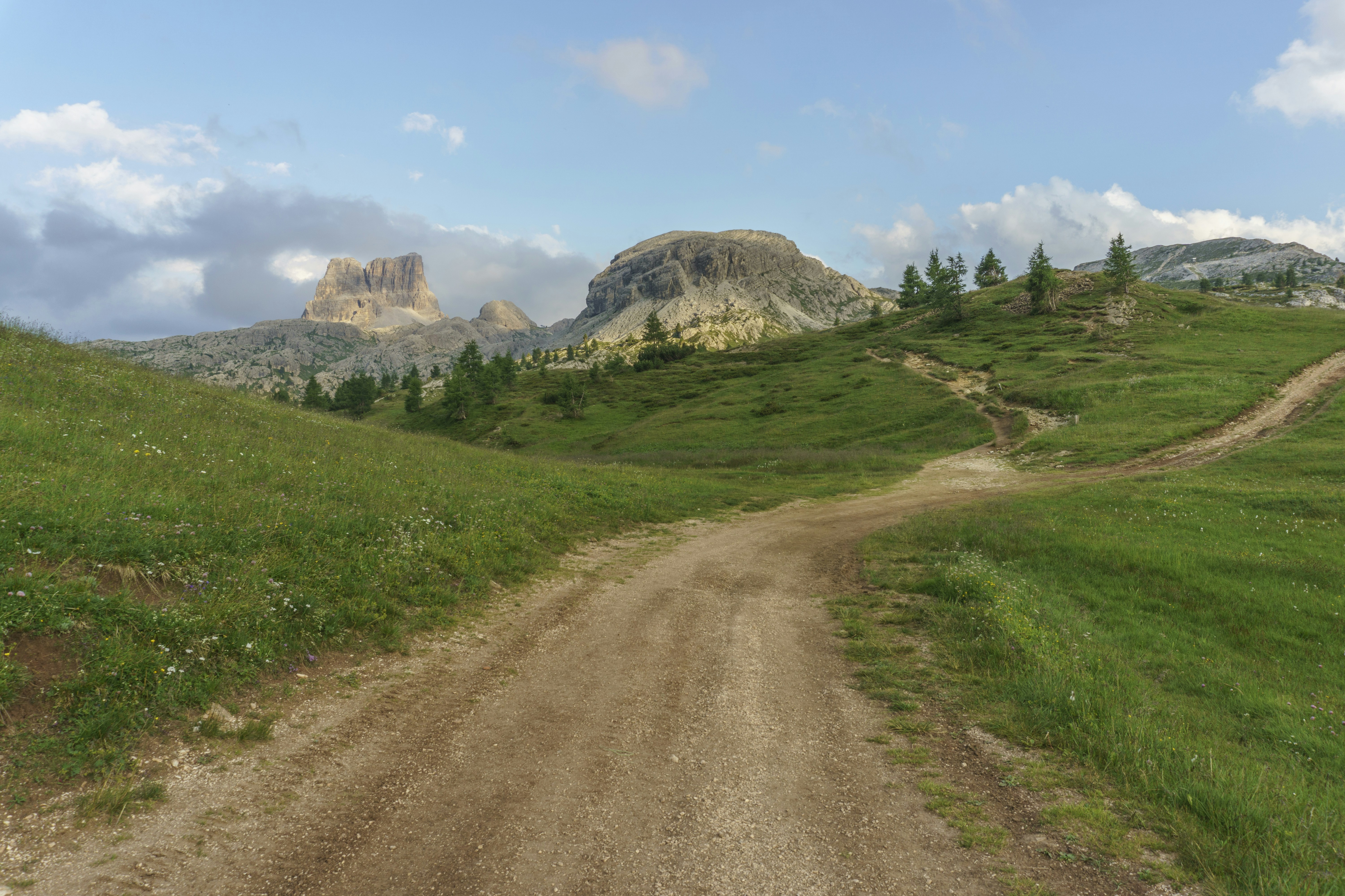 Alpine Grassland Dirt Road Landscape