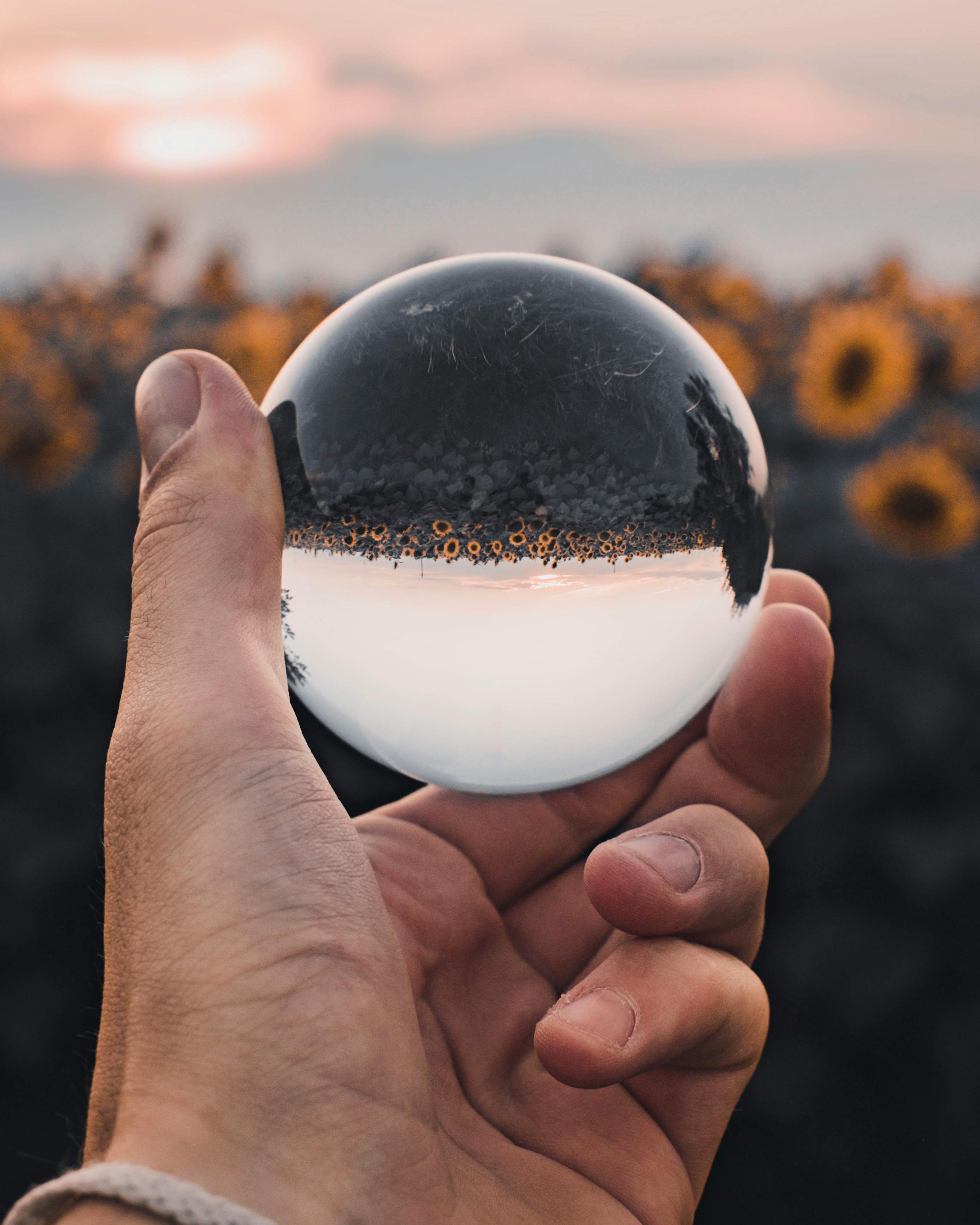Sunset Sunflower Field in Crystal Ball