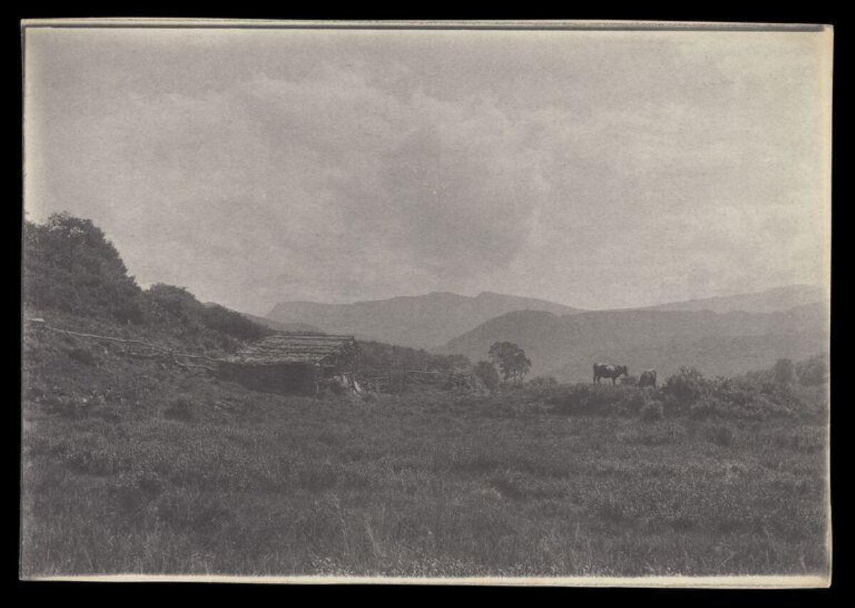 Black and White Mountain Pasture Landscape