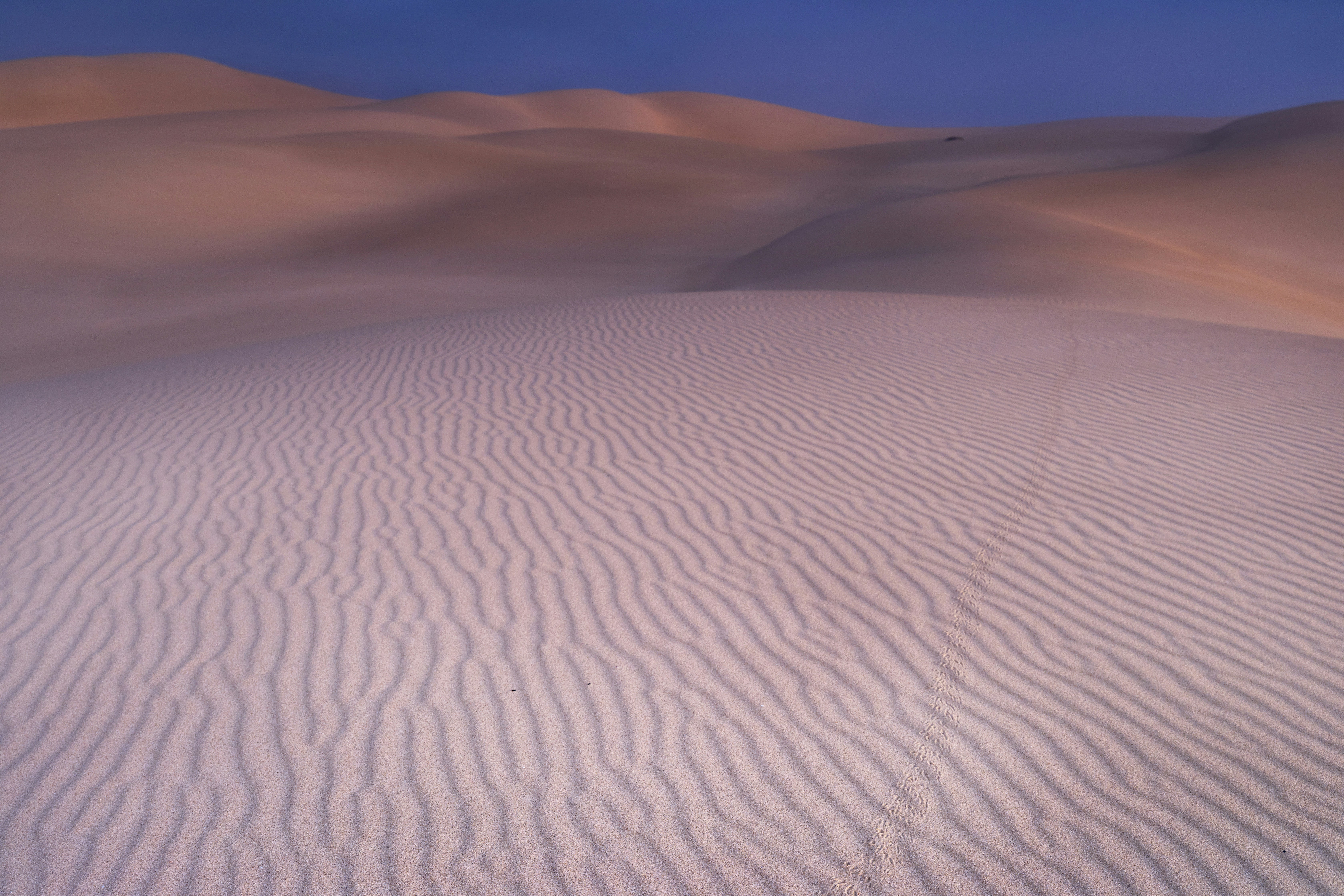 Wind Rippled Desert Sand Dunes