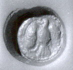 Close-up of Phillips Screw Head