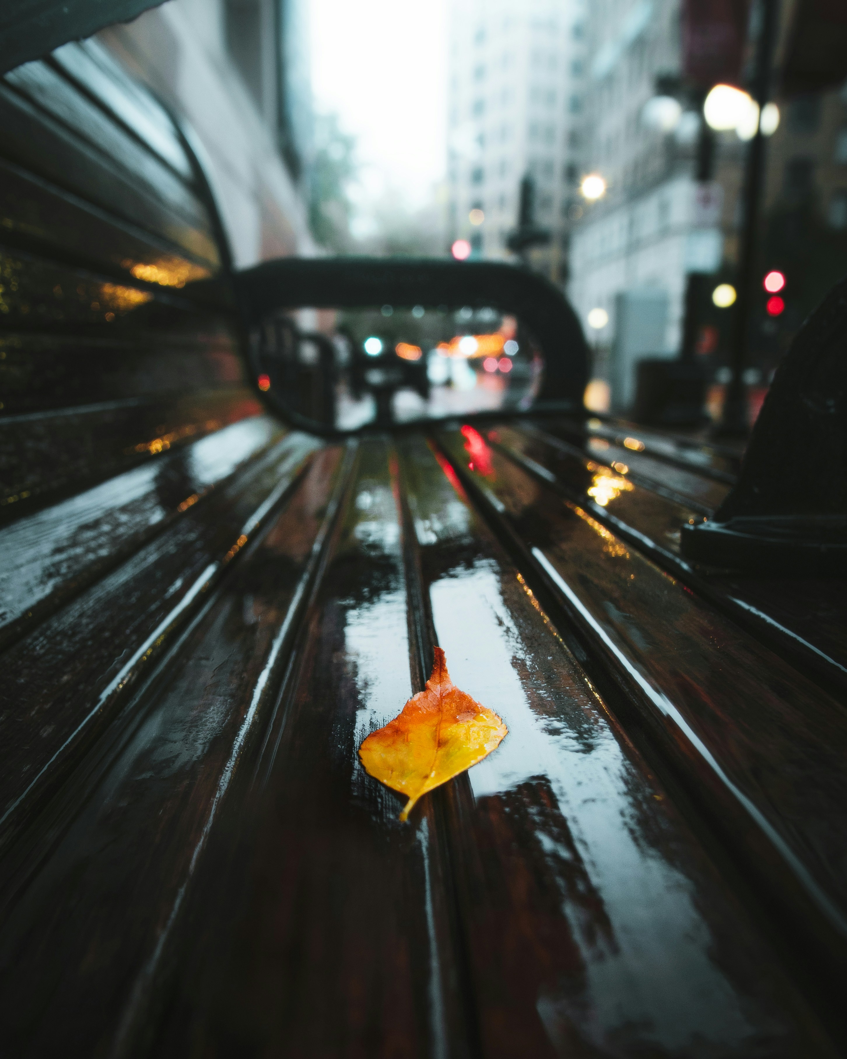 Fallen Leaf on Wet Urban Bench